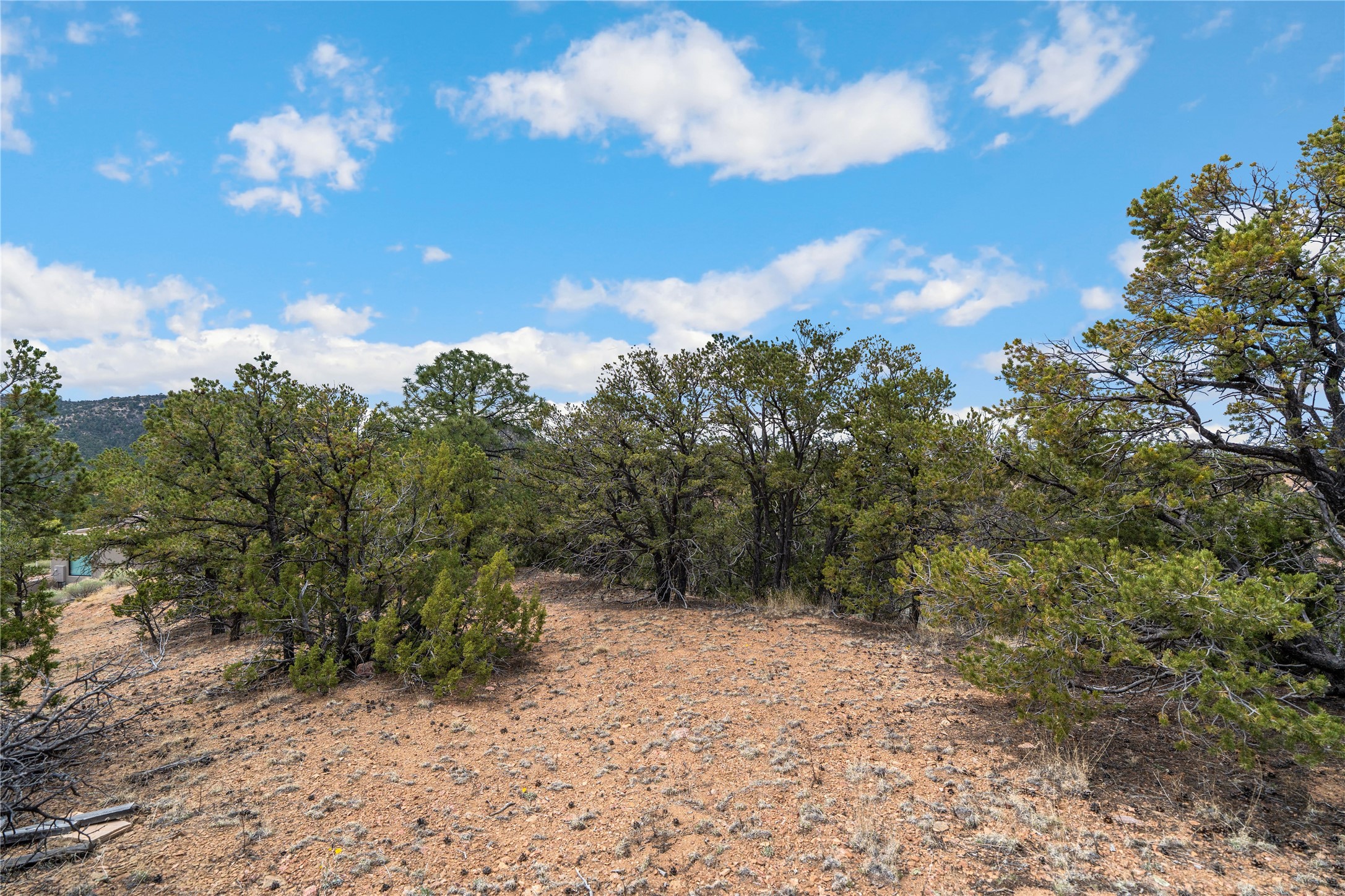2567 Atalaya Hills Trail 