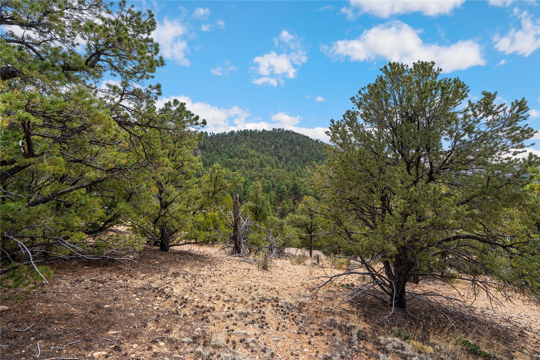 2567 Atalaya Hills Trail 