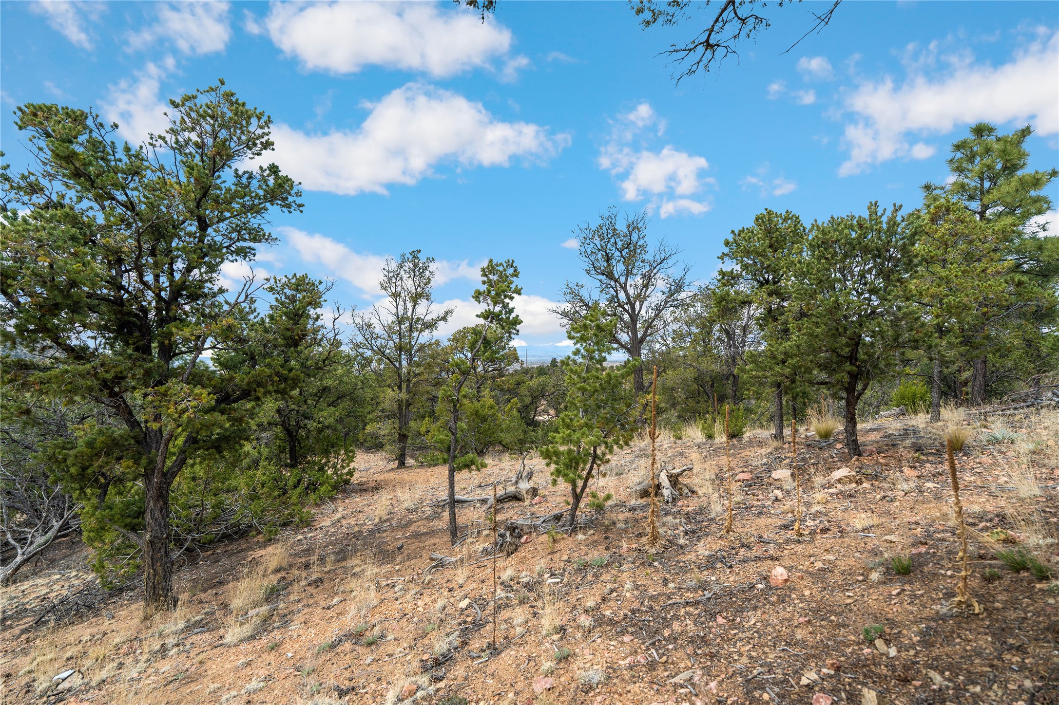 2567 Atalaya Hills Trail 