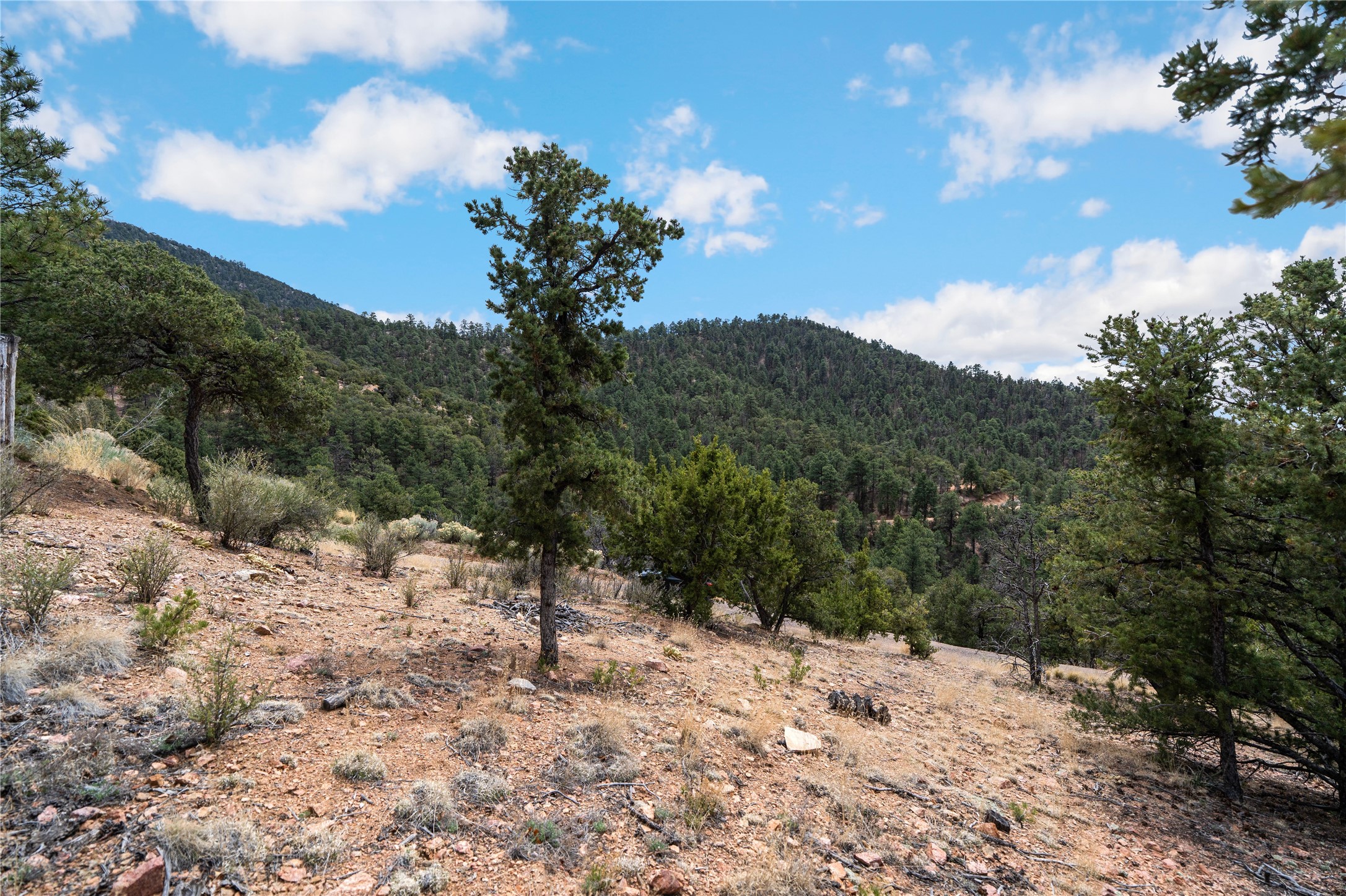 2567 Atalaya Hills Trail 