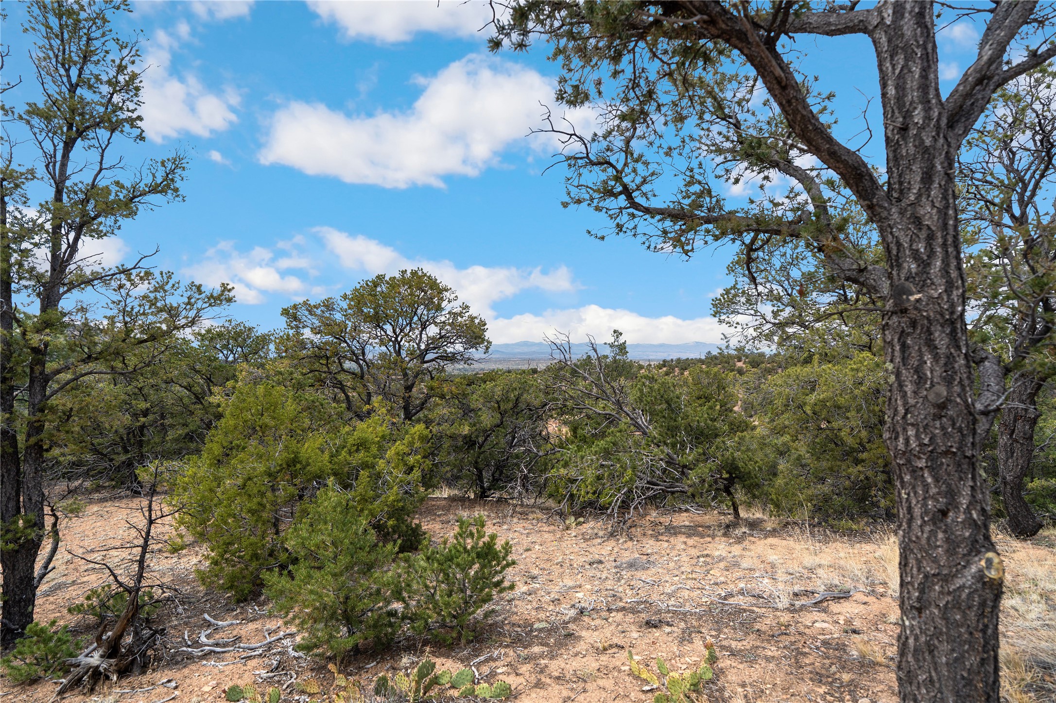 2567 Atalaya Hills Trail 