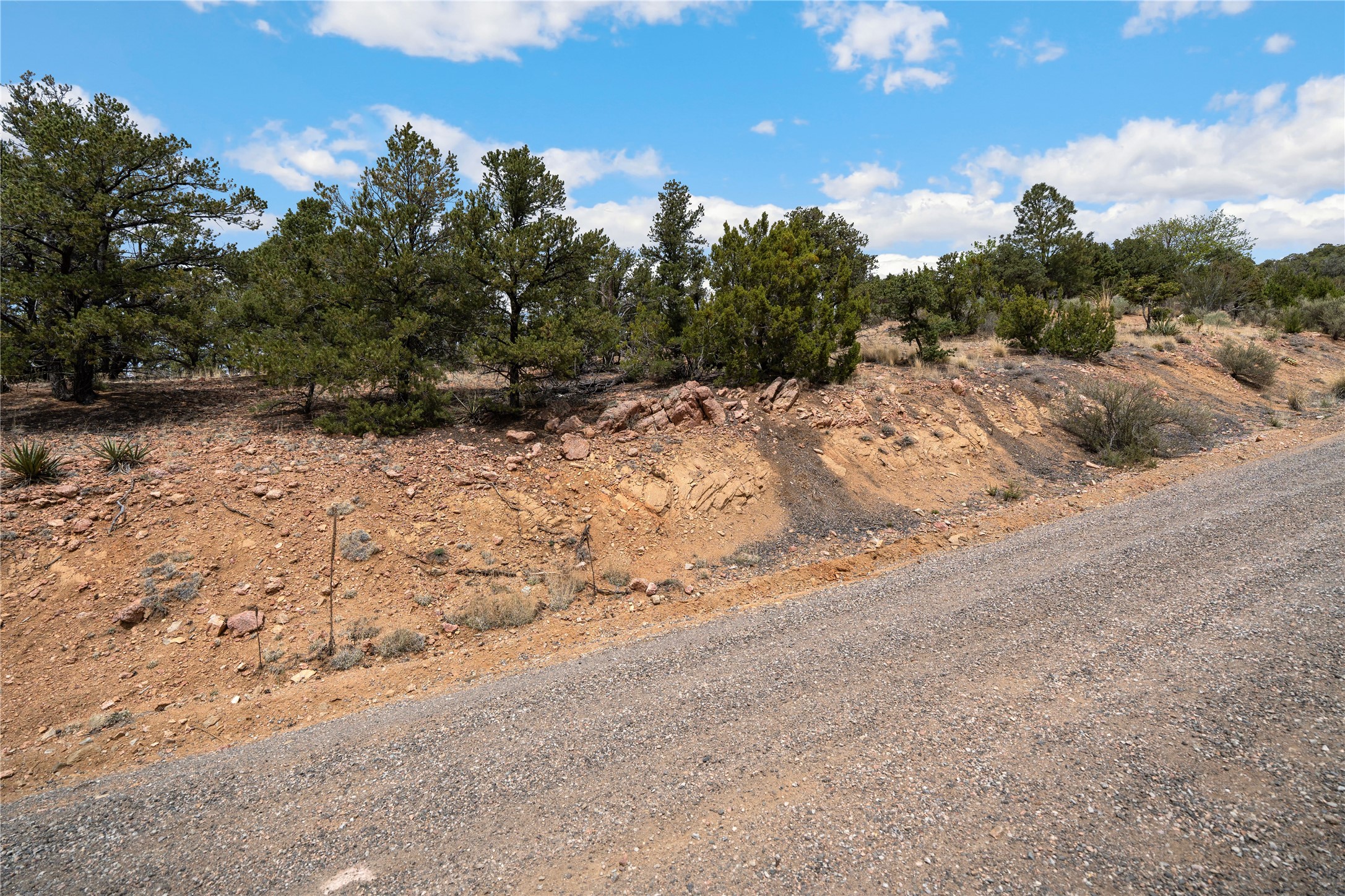 2567 Atalaya Hills Trail 