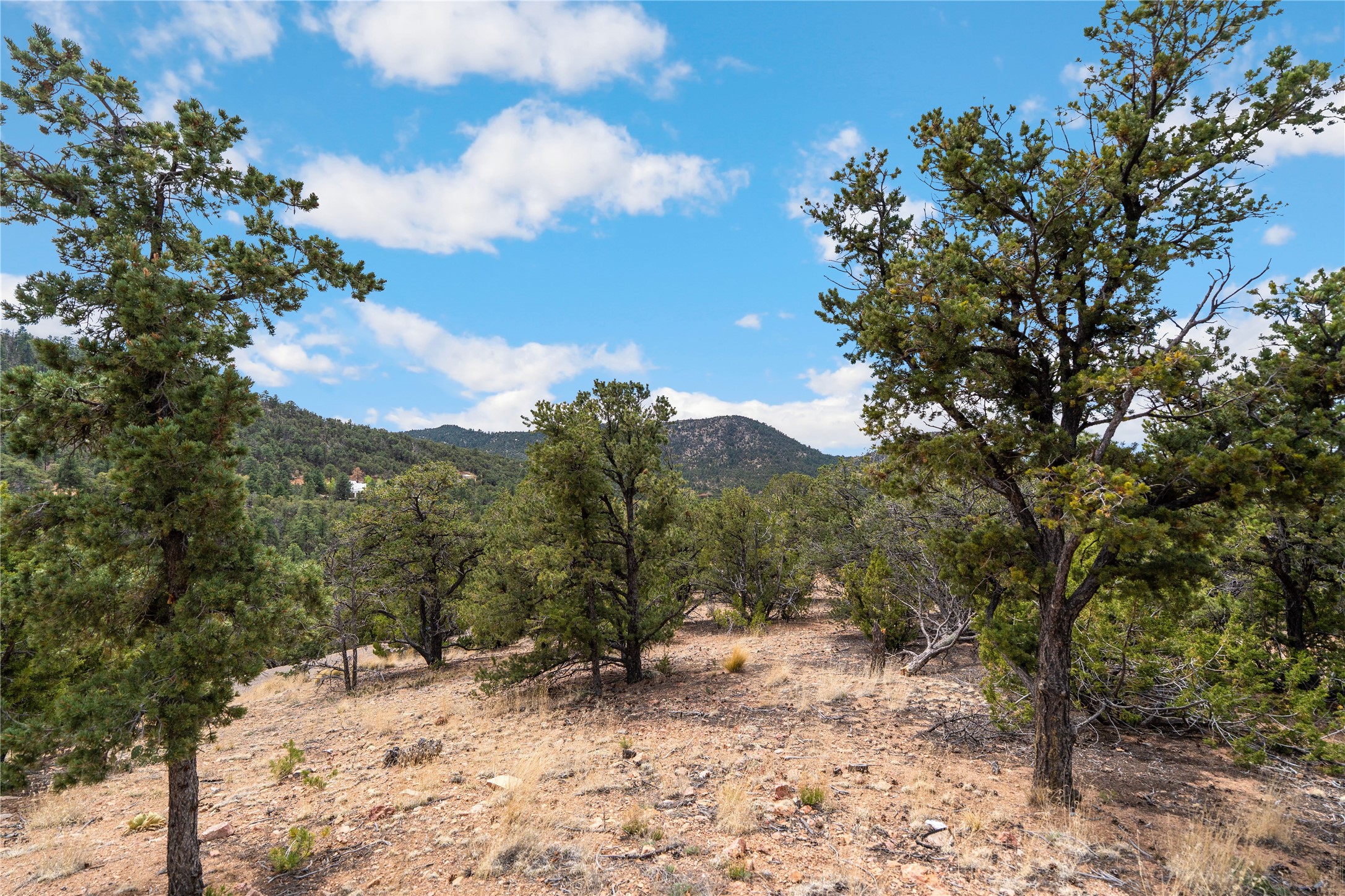 2567 Atalaya Hills Trail 