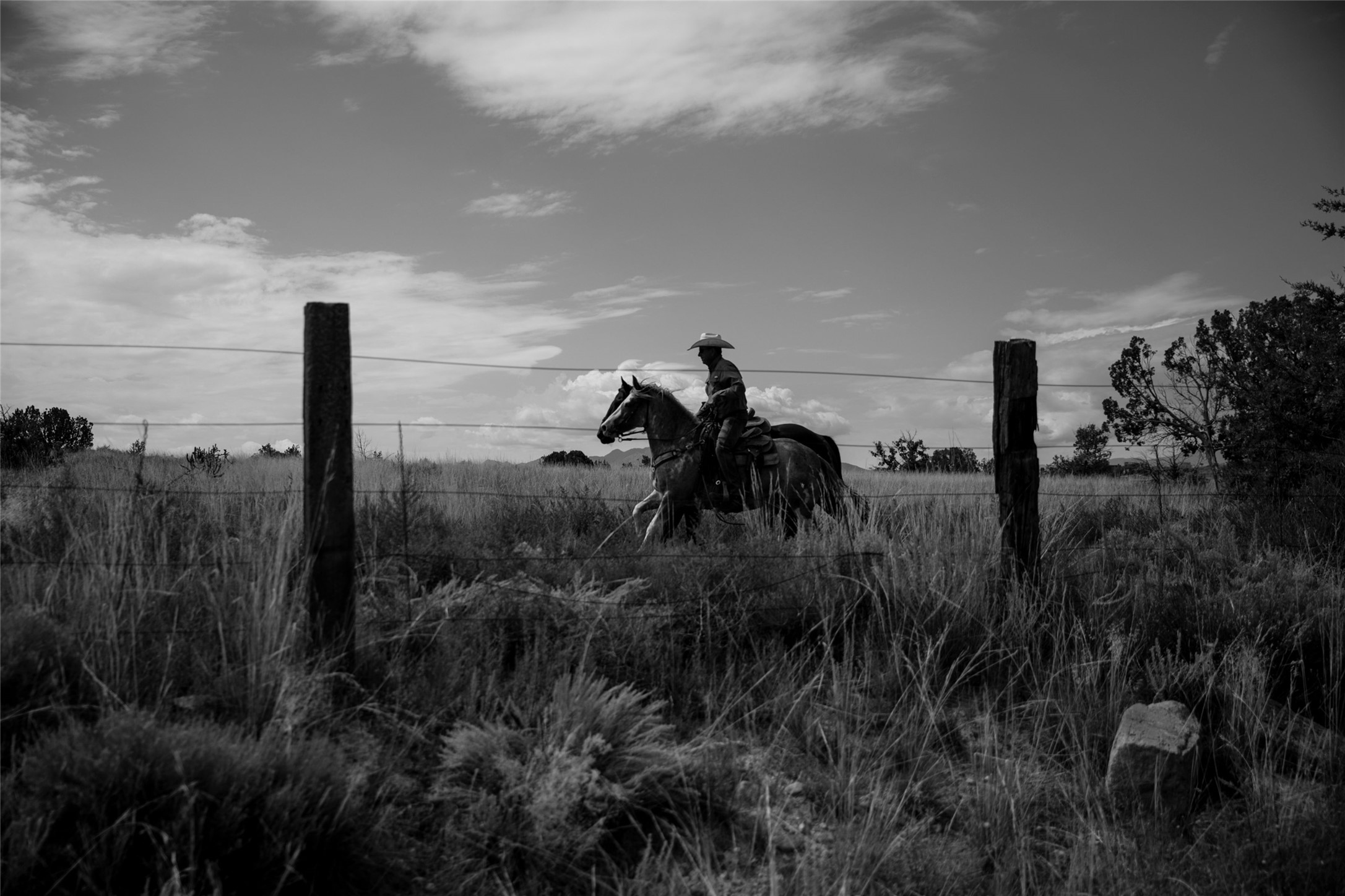 37 Rancho Alegre
