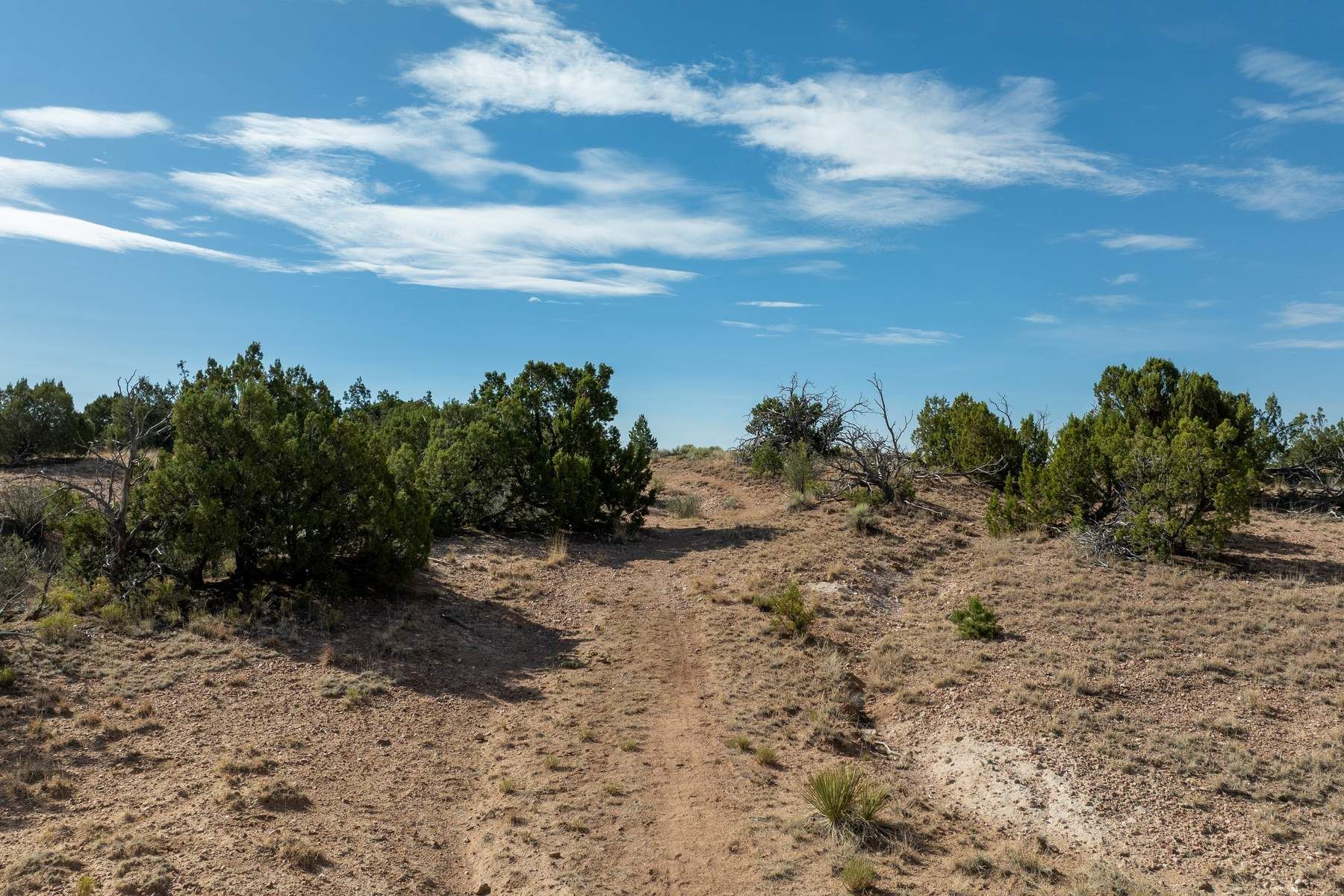 245 Arroyo Hondo Trail 