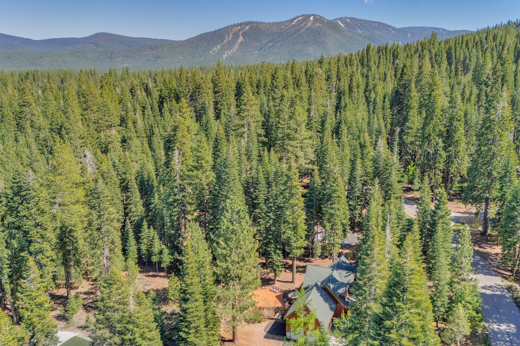 11310 Thelin Drive