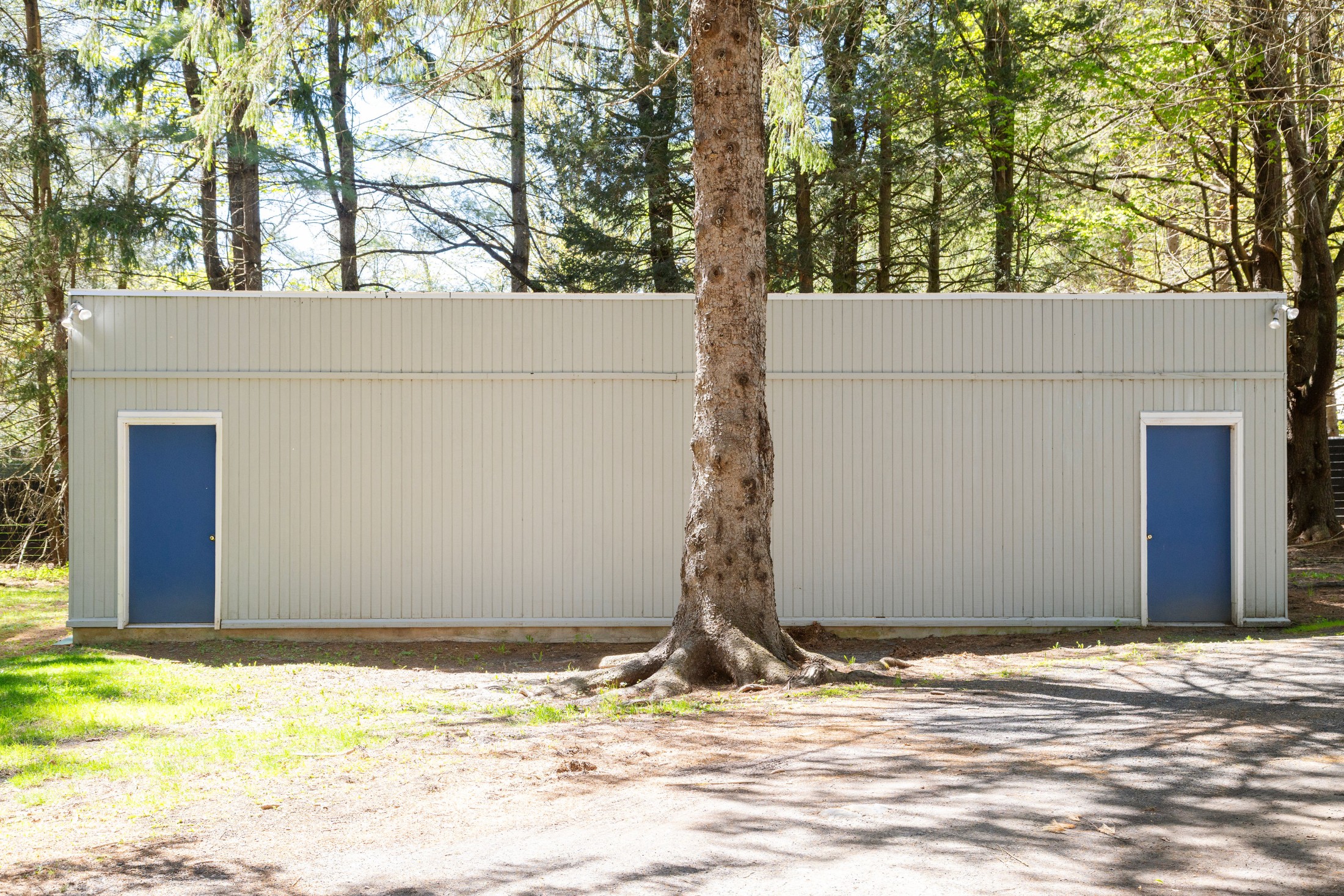 41 Wittenberg Road