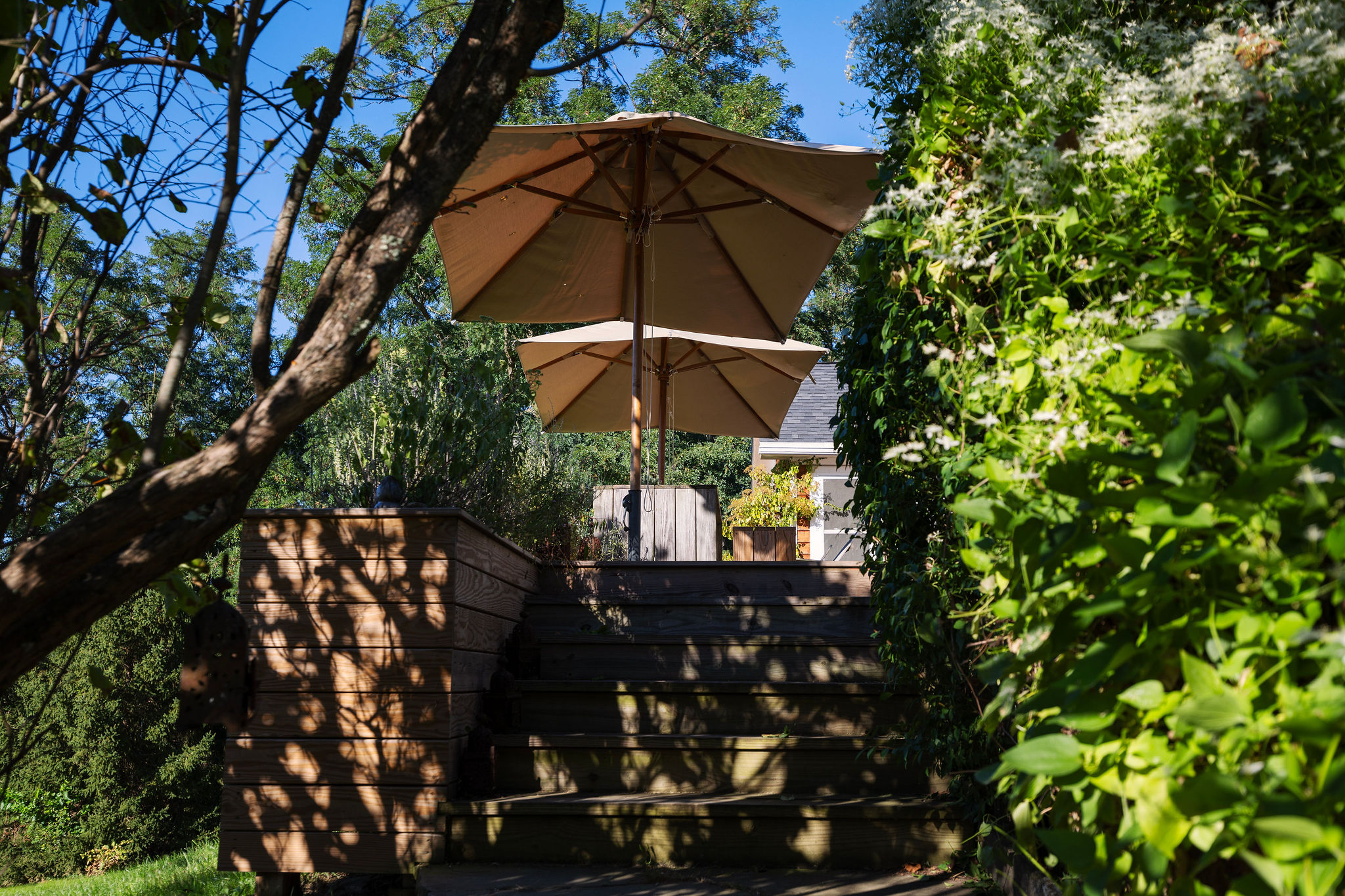 188 Mount Merino Road