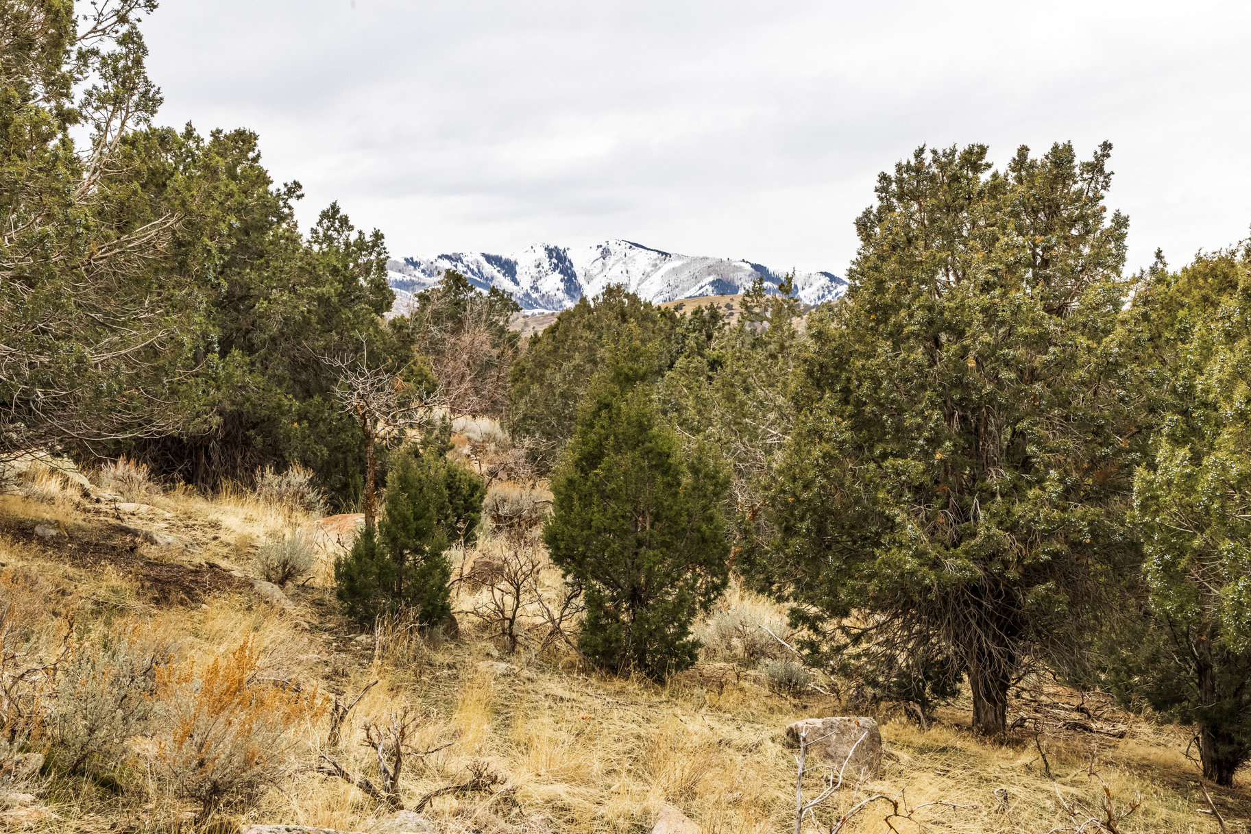 8172 W Dry Canyon Circle, Lot 94 