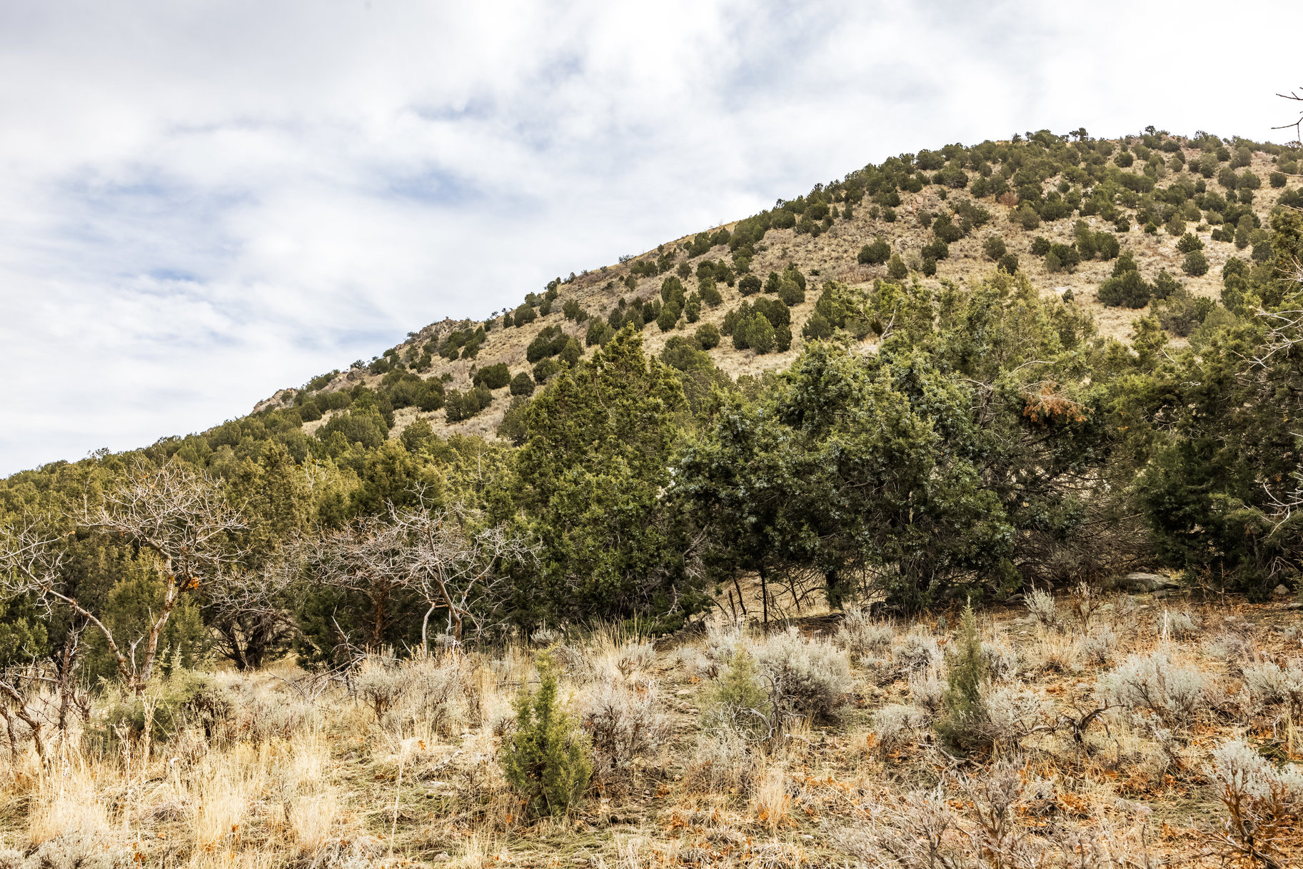 8172 W Dry Canyon Circle, Lot 94 