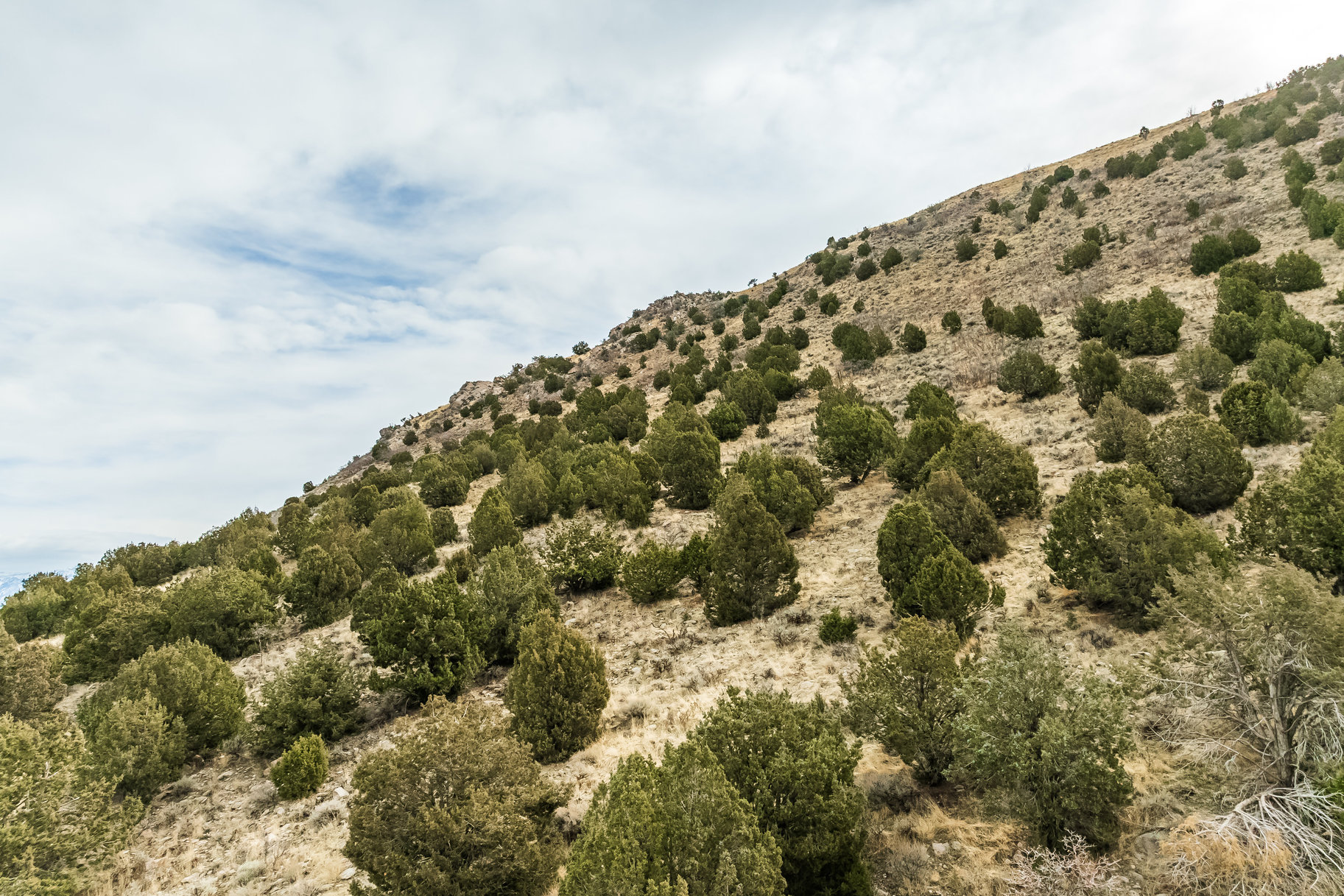 8172 W Dry Canyon Circle, Lot 94 