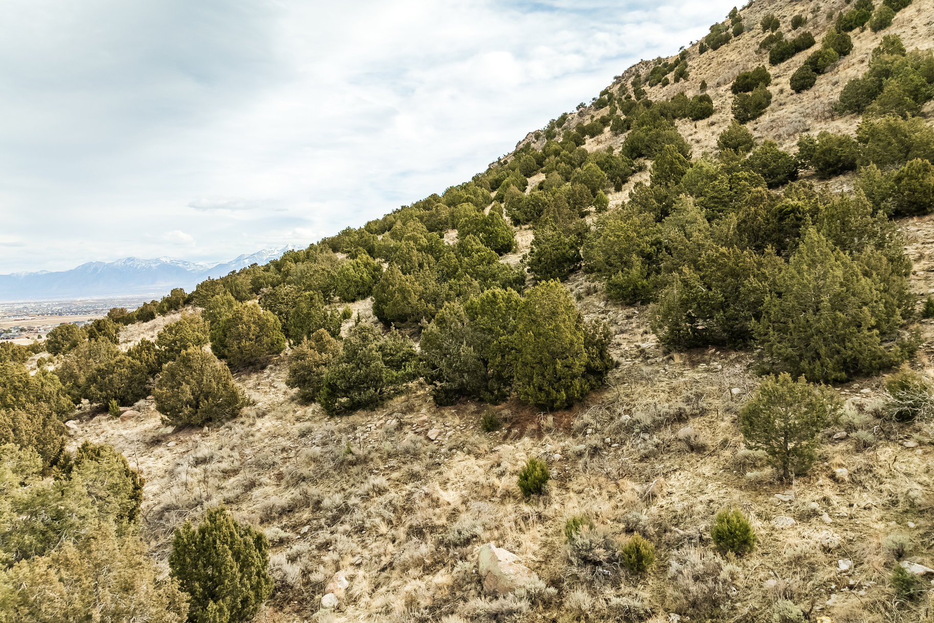 8172 W Dry Canyon Circle, Lot 94 