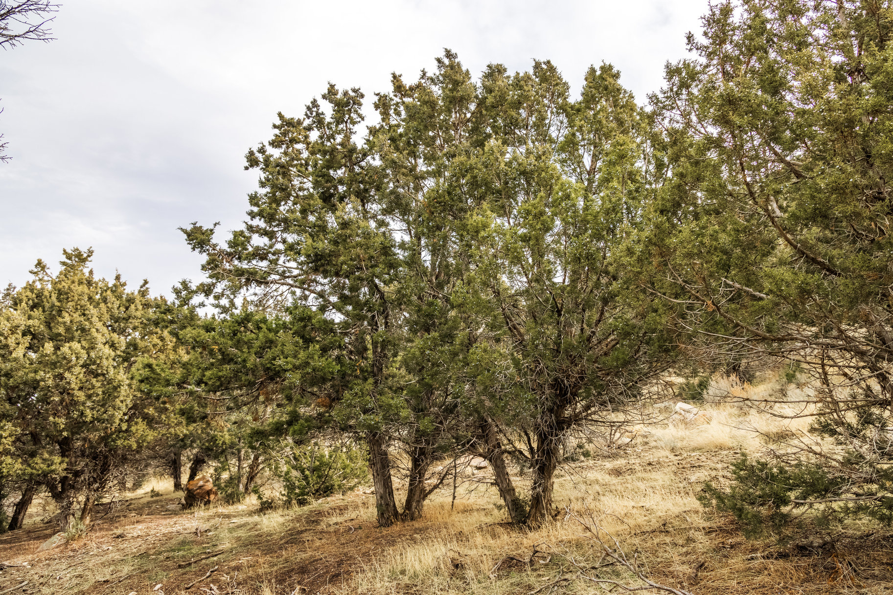 8172 W Dry Canyon Circle, Lot 94 