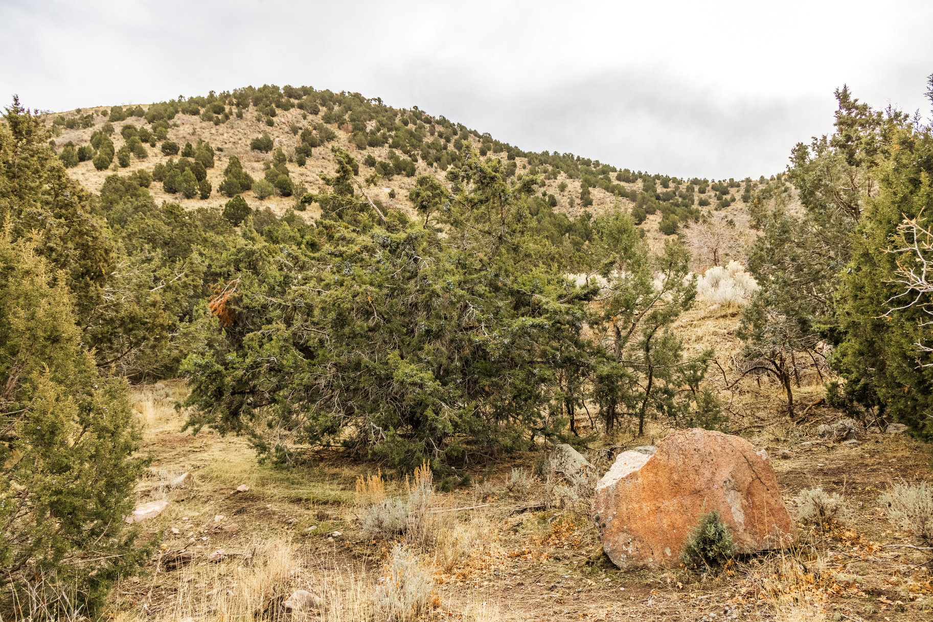 8172 W Dry Canyon Circle, Lot 94 