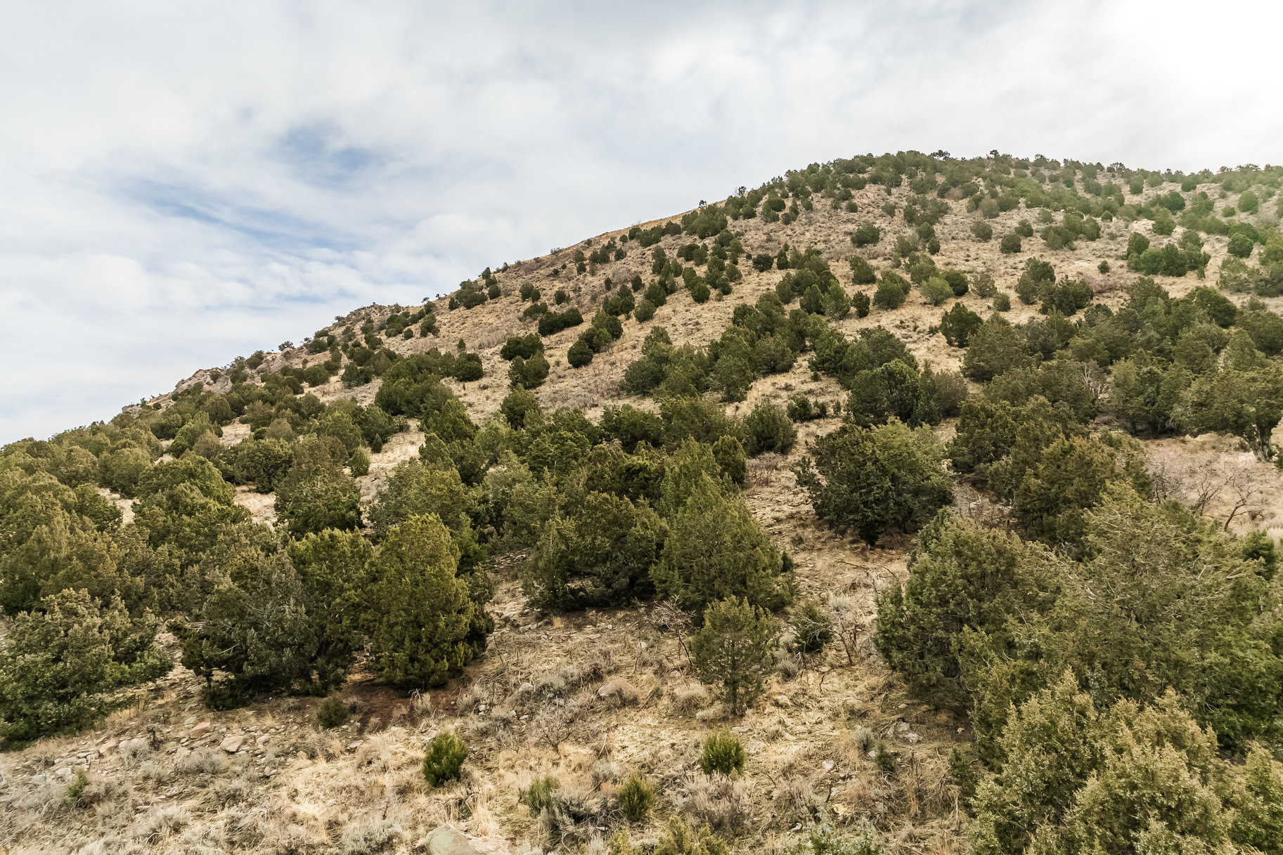 8172 W Dry Canyon Circle, Lot 94 