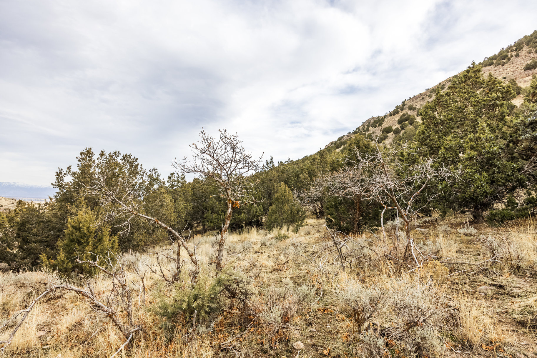 8172 W Dry Canyon Circle, Lot 94 