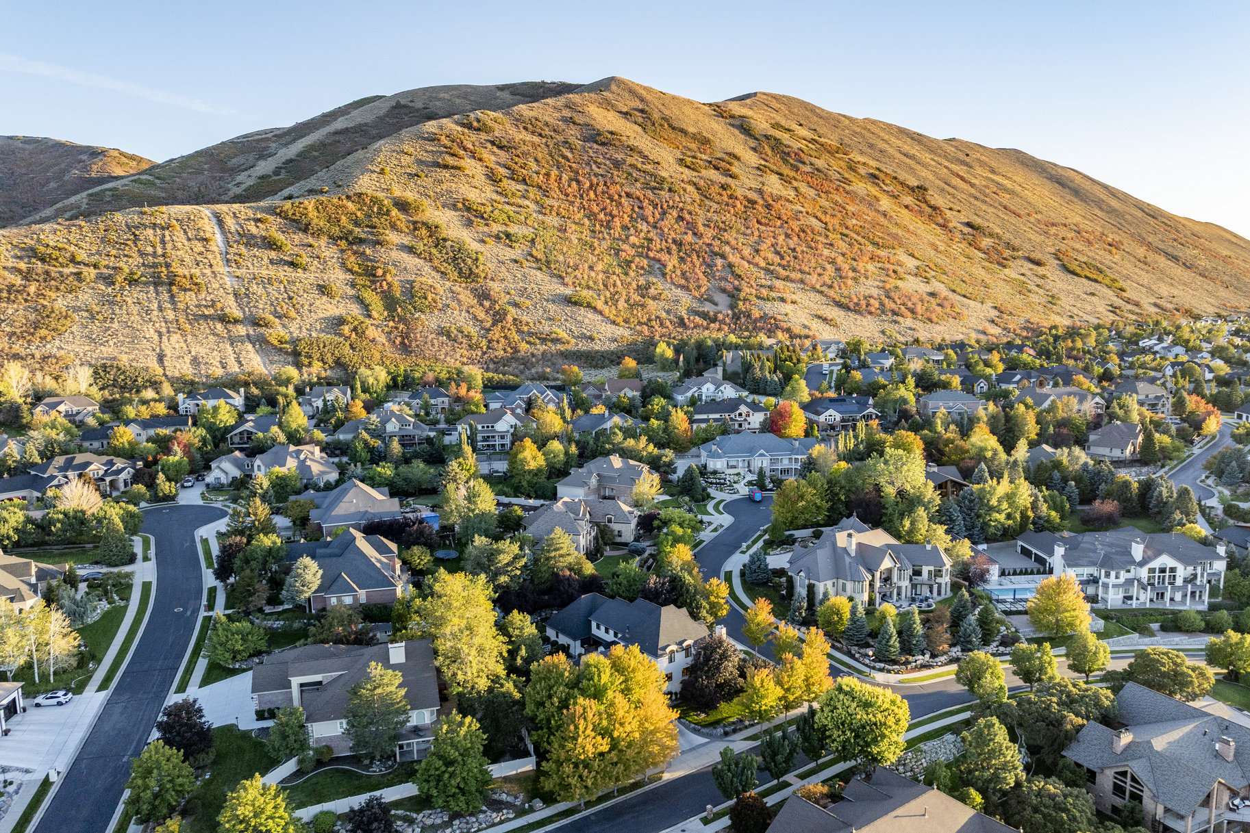 14687 S Nestled Cove