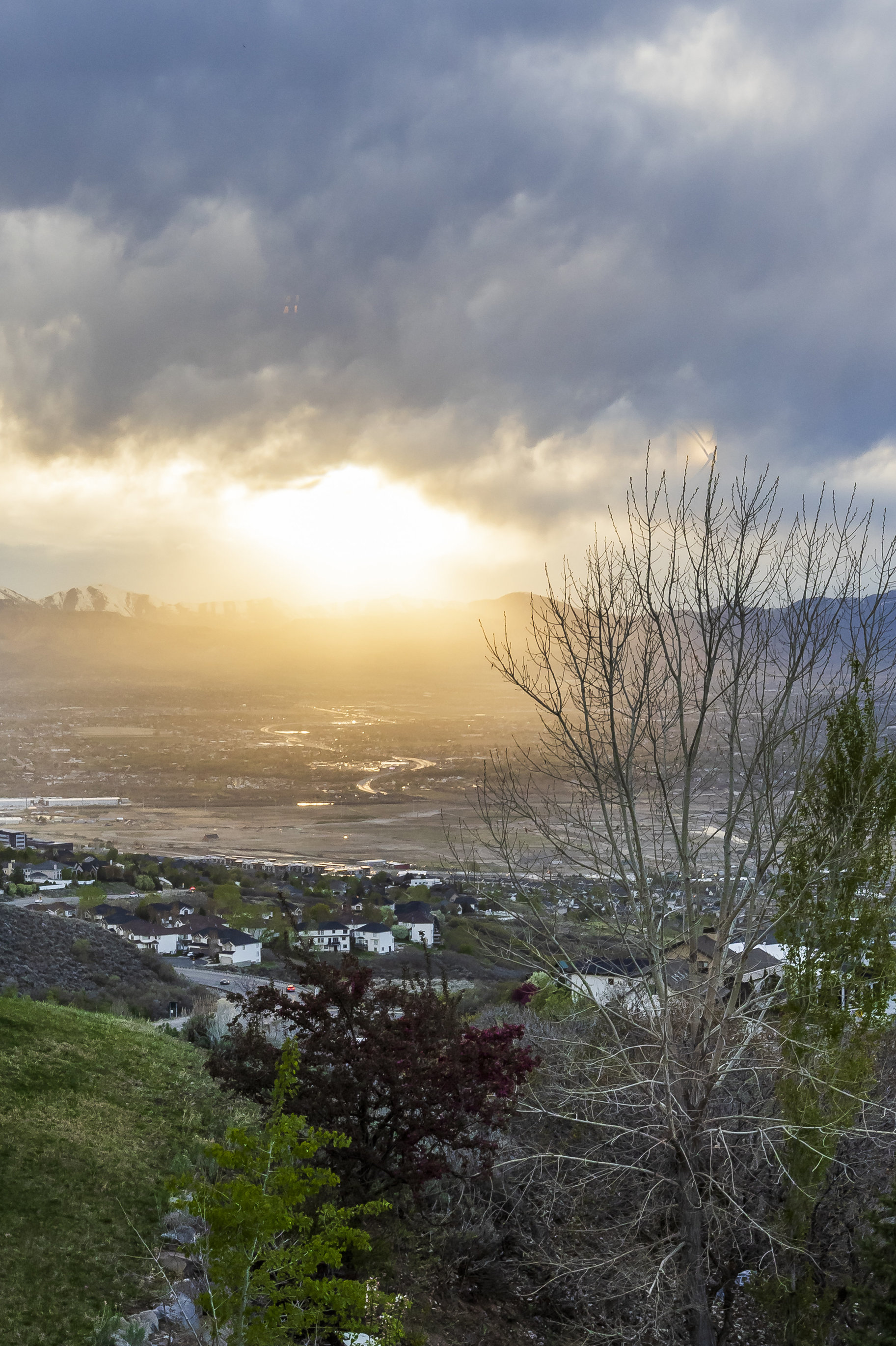 1263 East Wild Maple Court