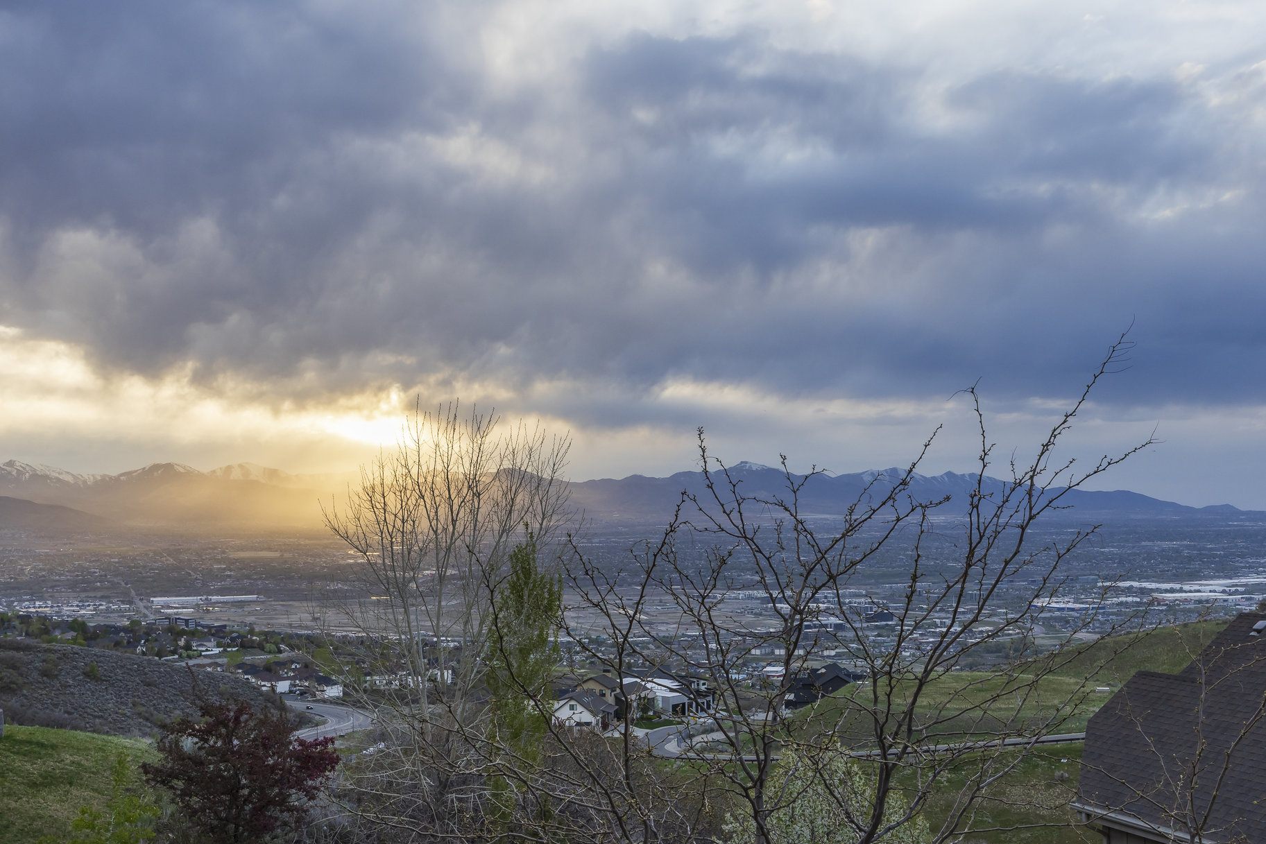 1263 East Wild Maple Court