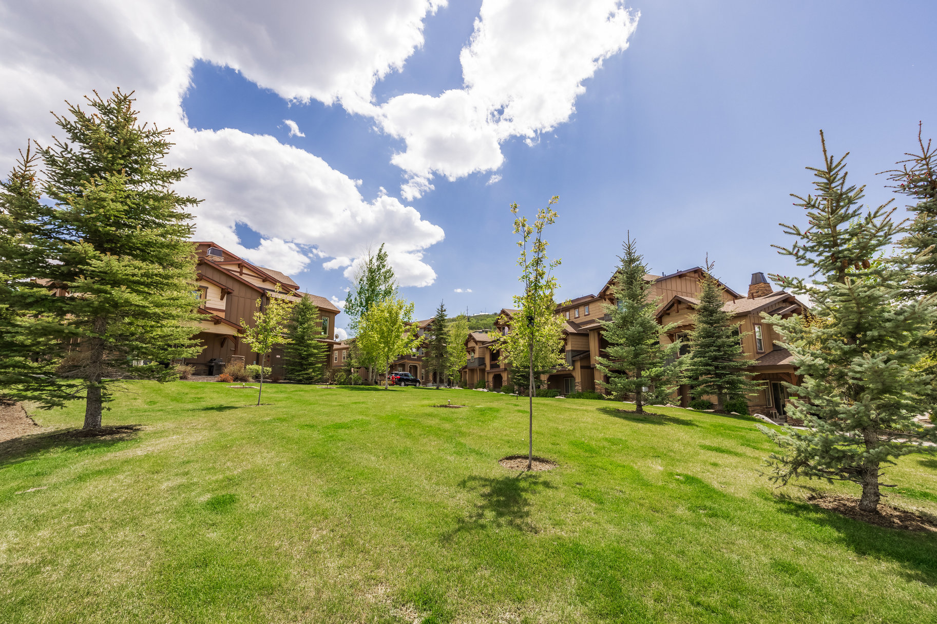 13386 N Alexis Dr