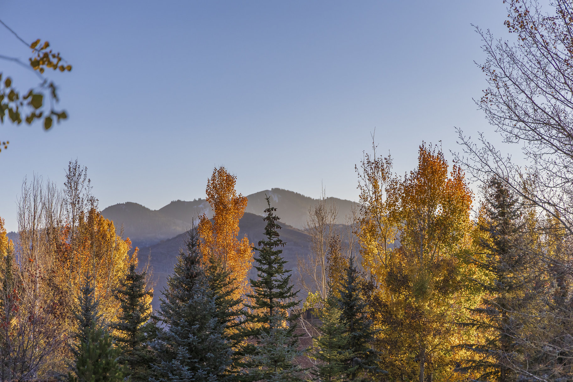 2546 Lower Lando Lane