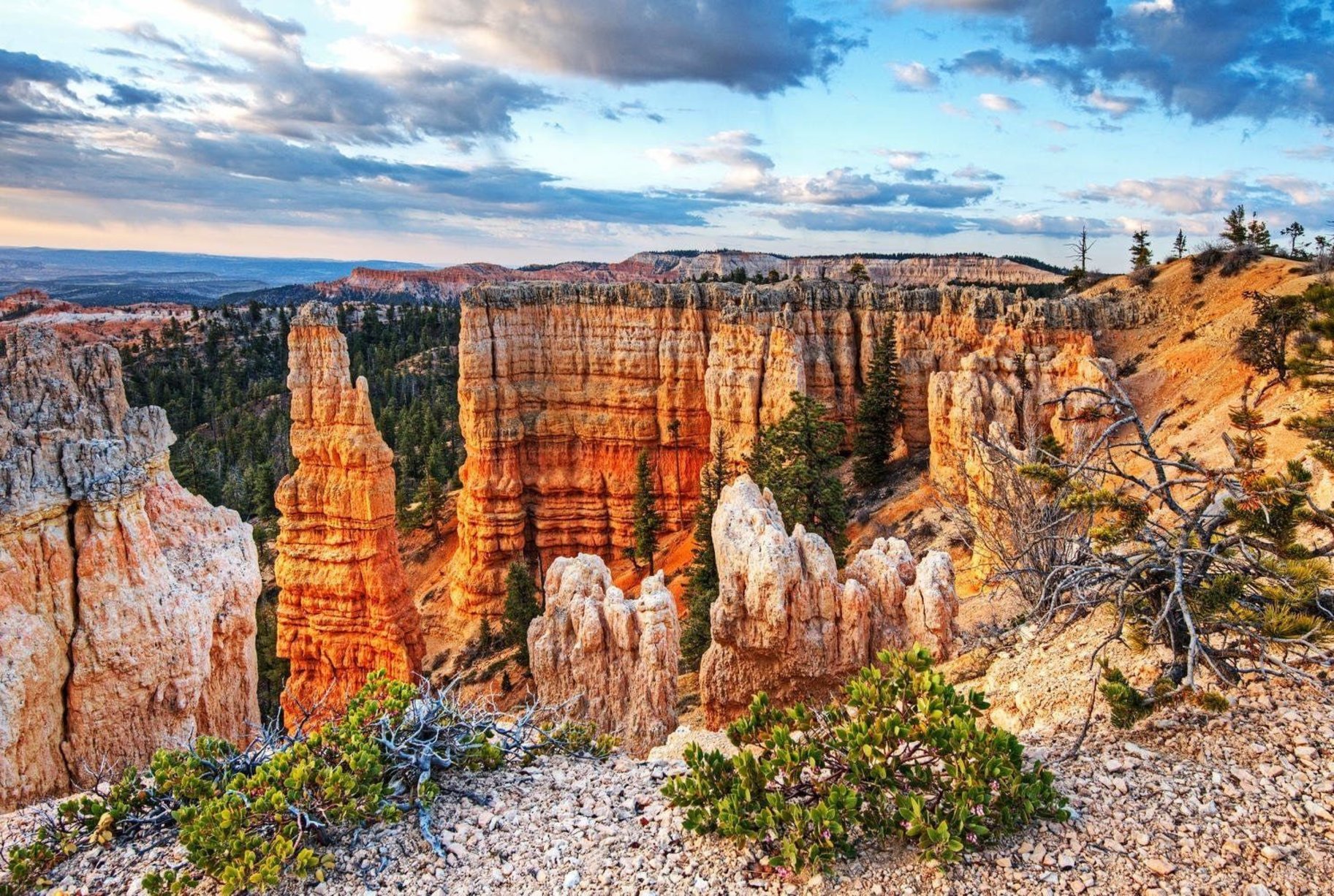 411 N Highland Parkway