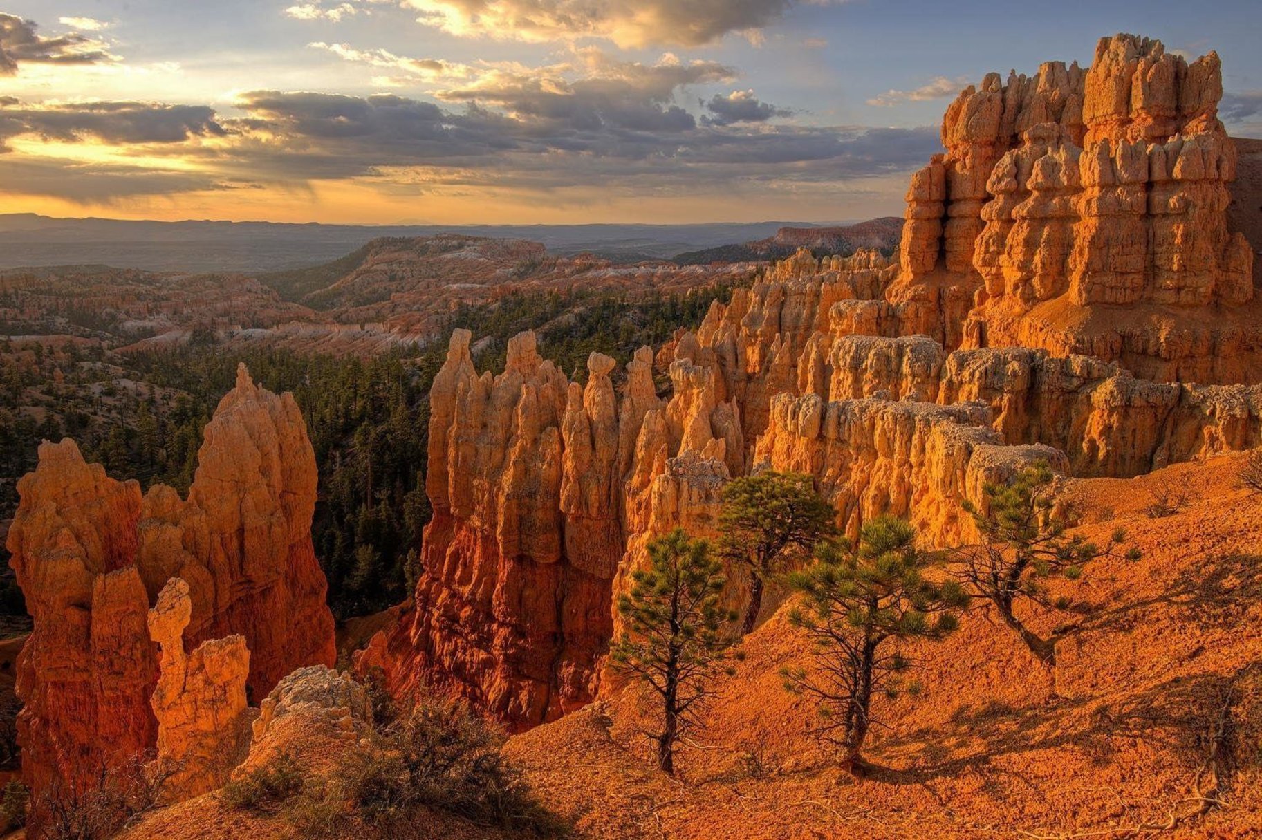 411 N Highland Parkway