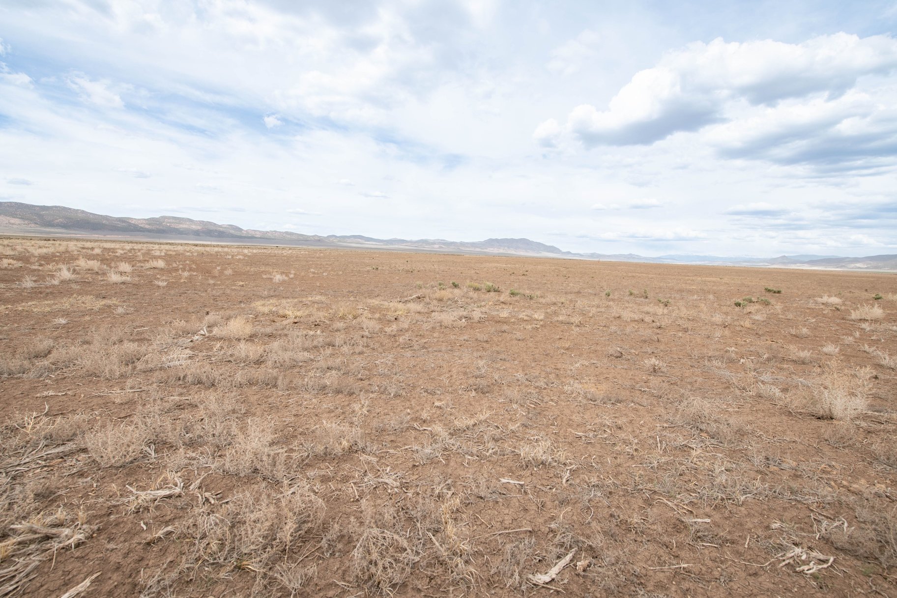 20.53 Acres on 800 W Road, Lot #11
