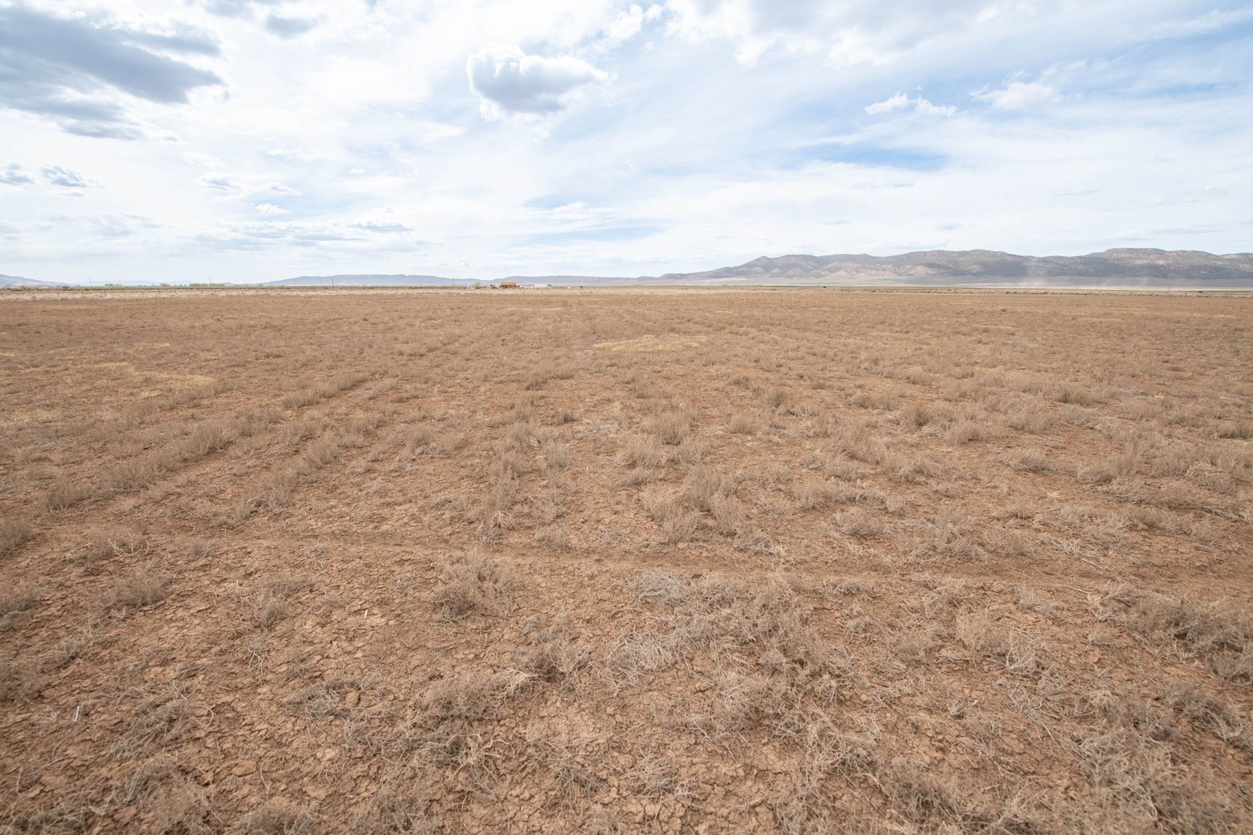 20.53 Acres on 800 W Road, Lot #11