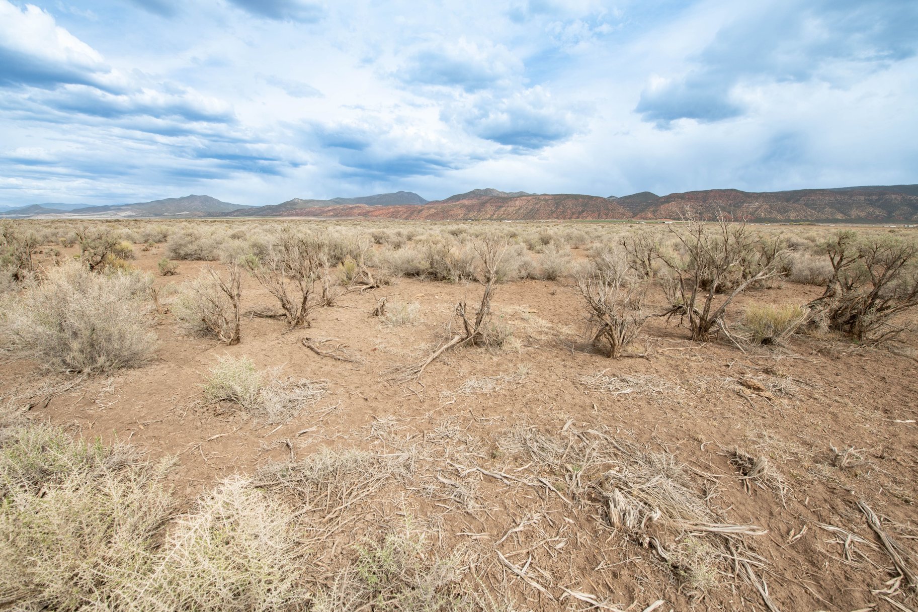 20.60 Acres on 800 W Road, Lot #12