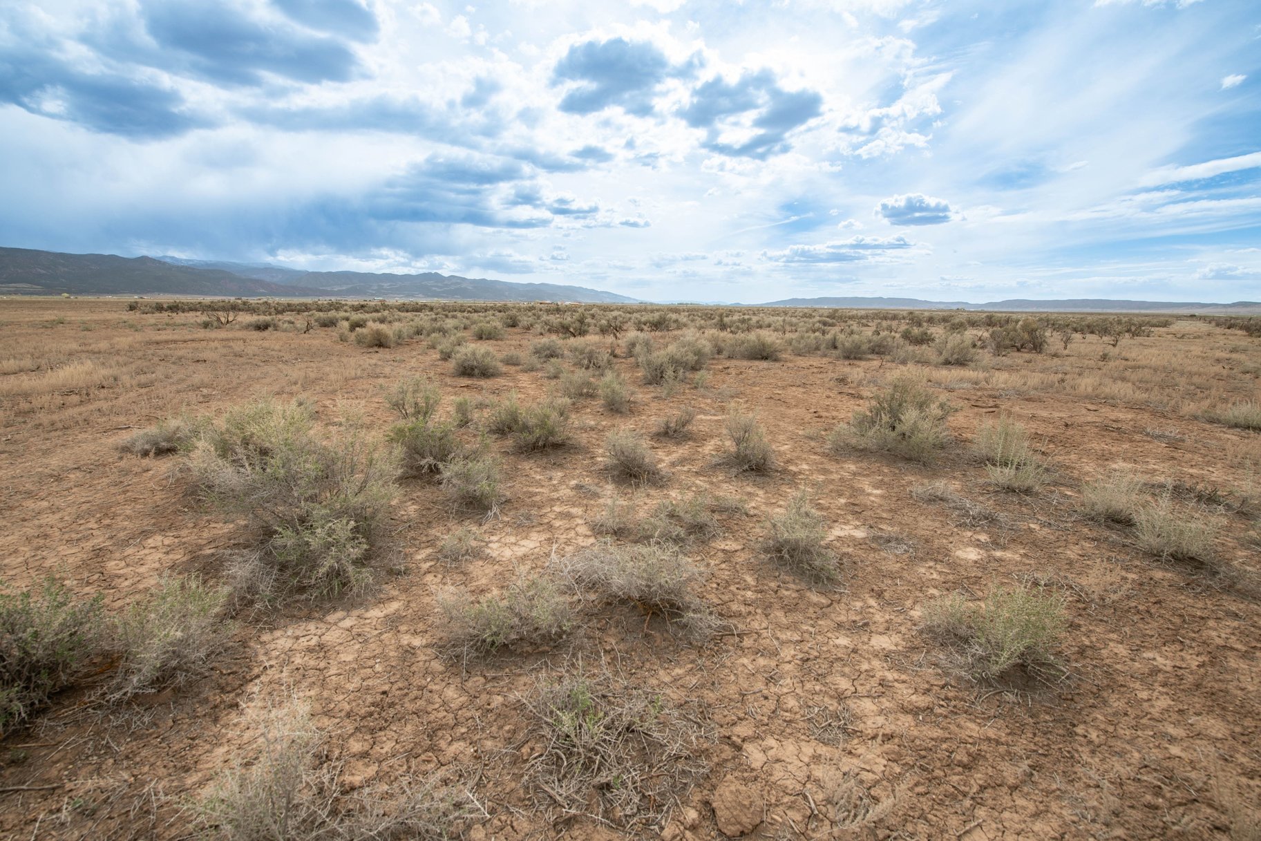 20.60 Acres on 800 W Road, Lot #12