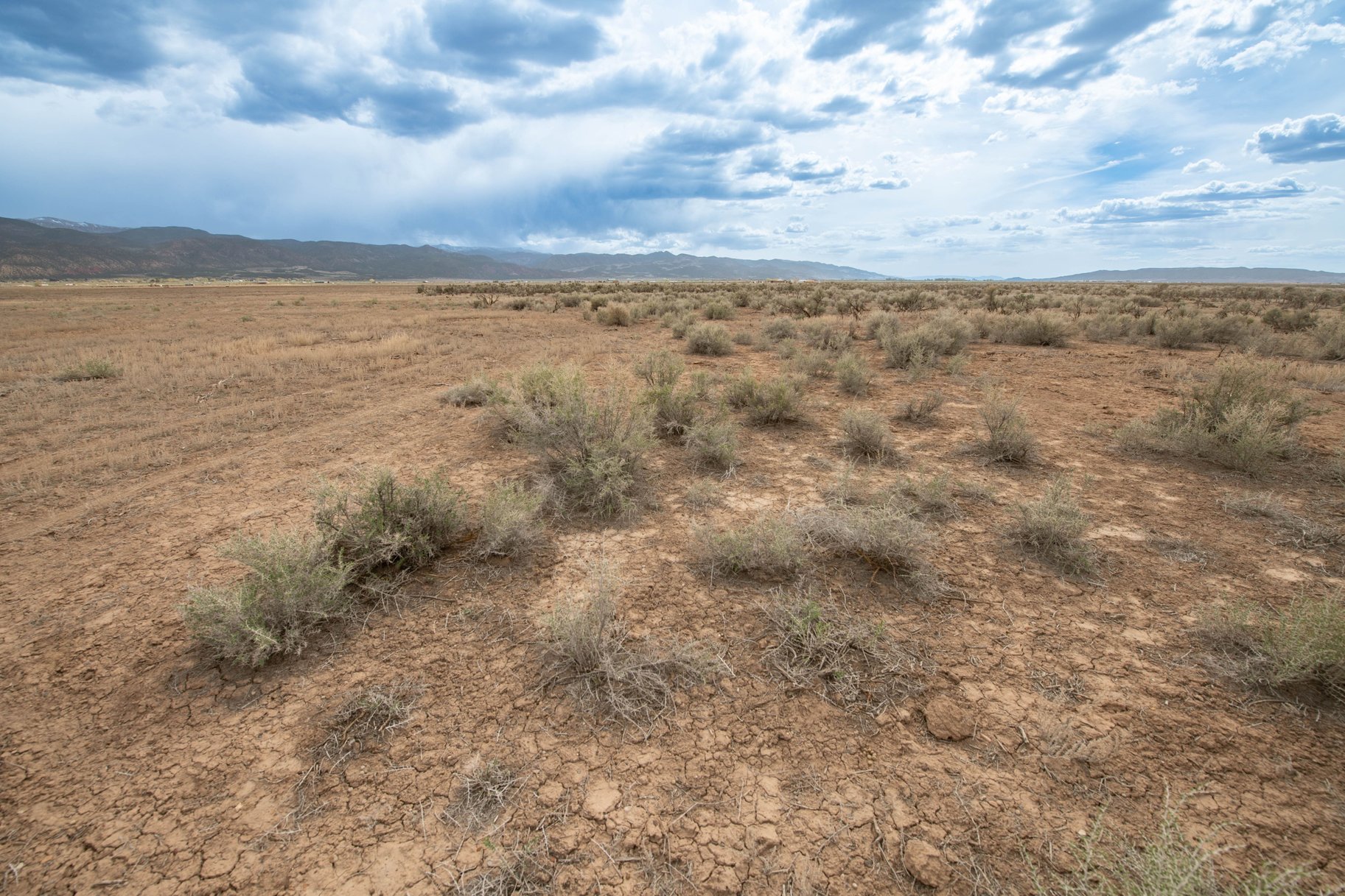 20.60 Acres on 800 W Road, Lot #12