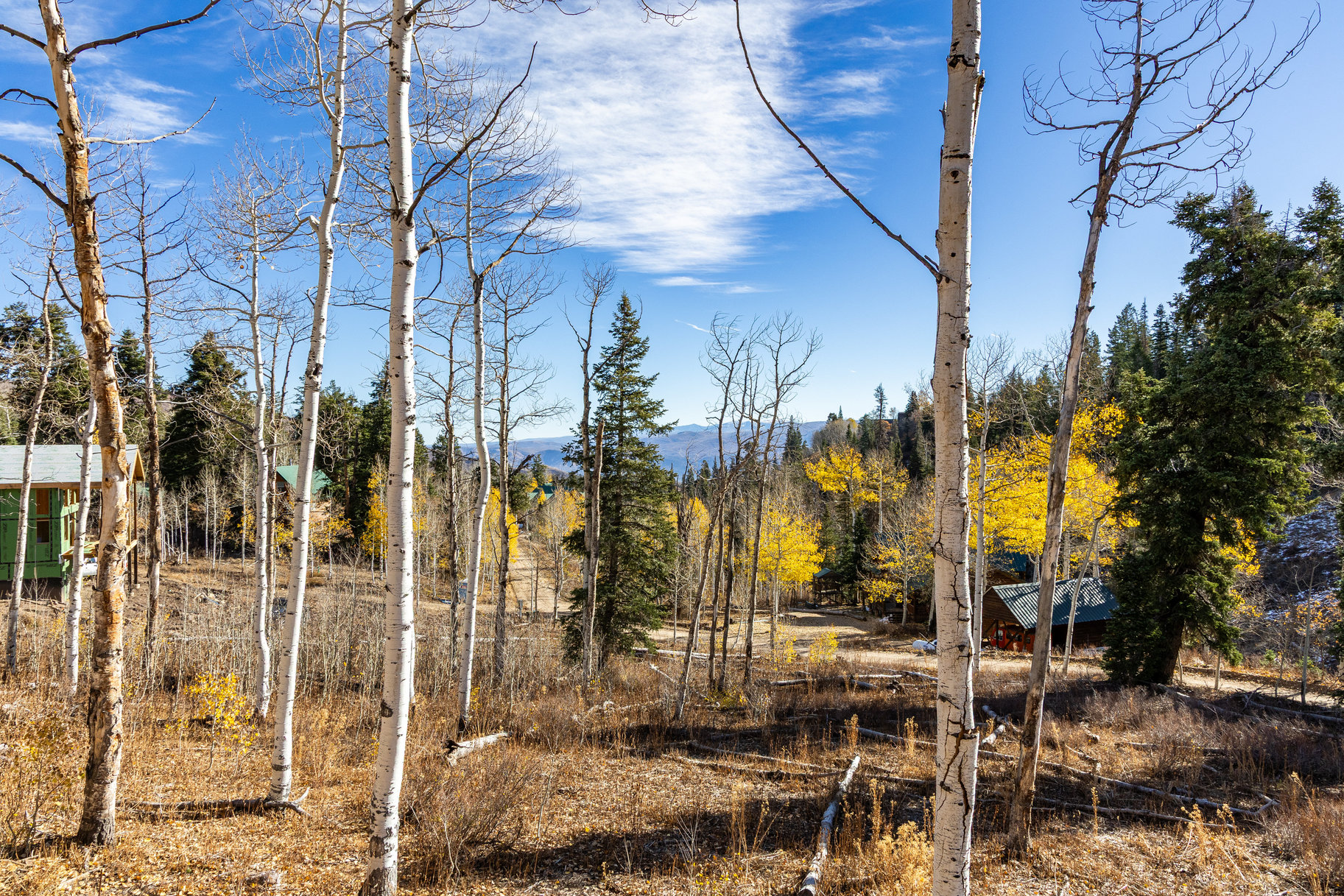 1853 Pine Loop Road