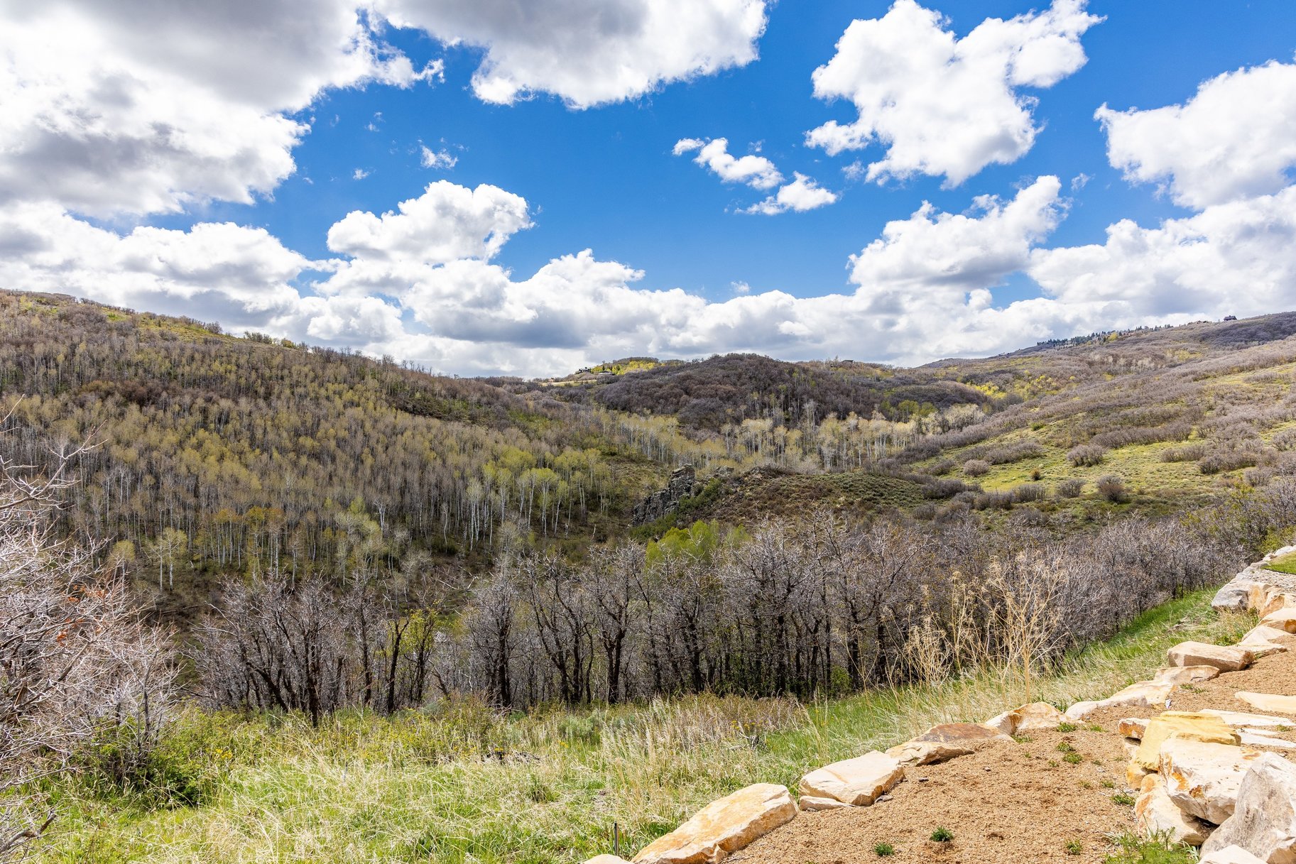 749 W Tollgate Canyon Road