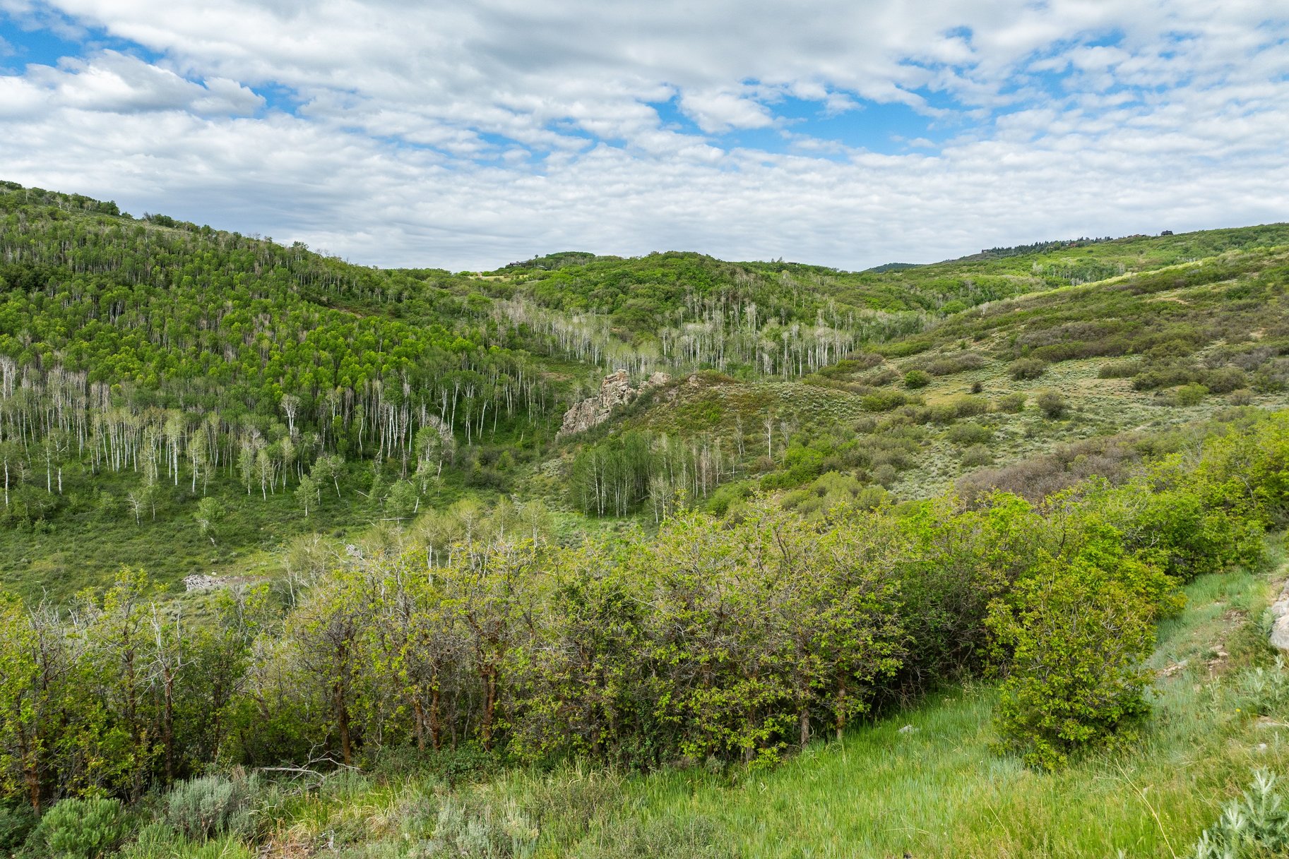 749 W Tollgate Canyon Road