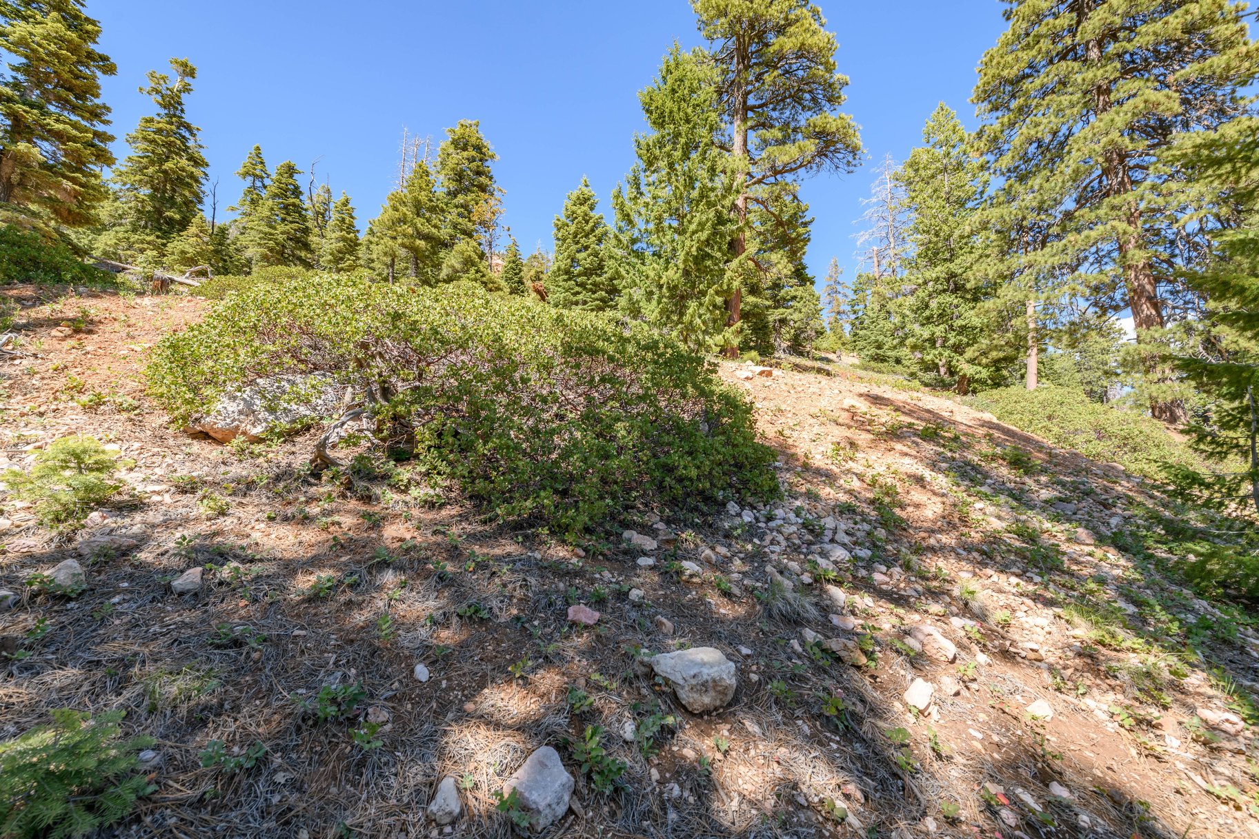 5150 W North Fork Road