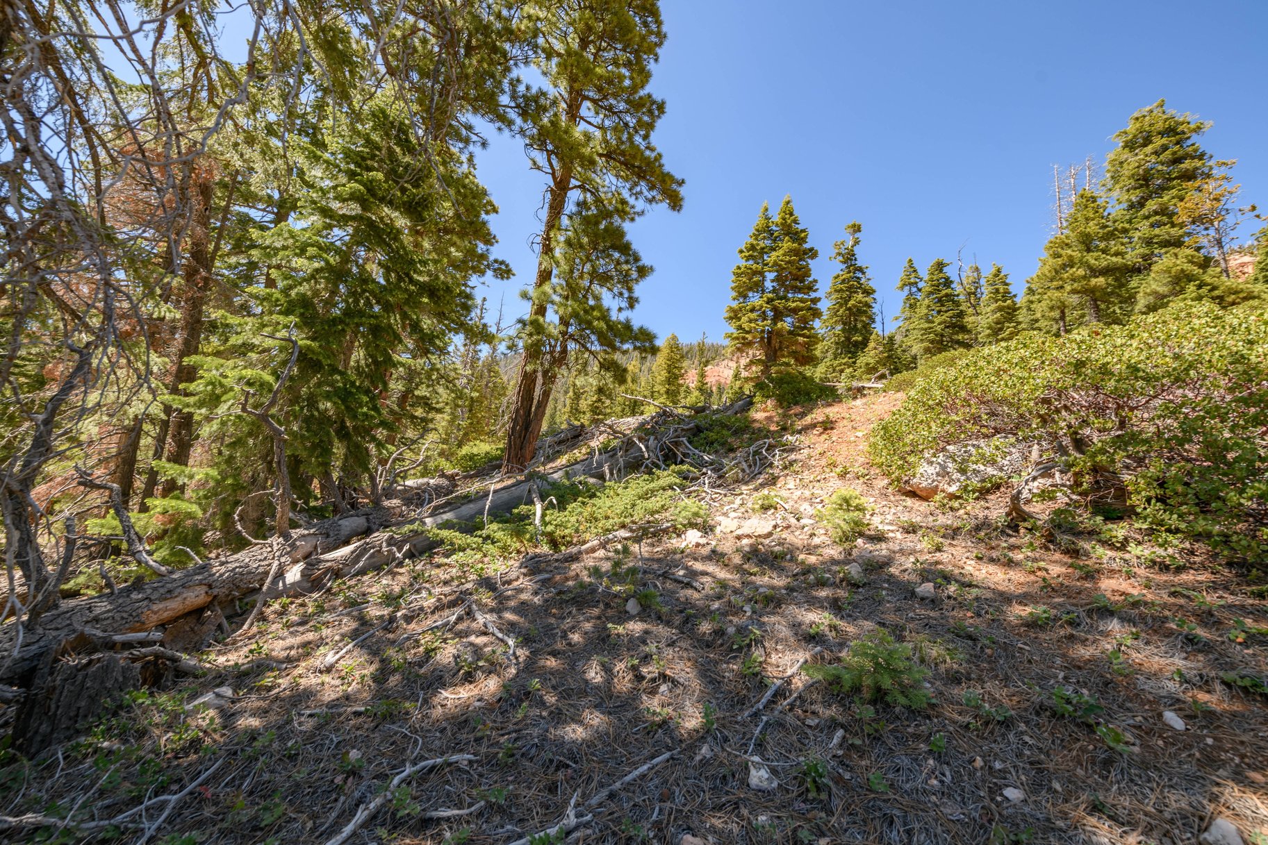 5150 W North Fork Road