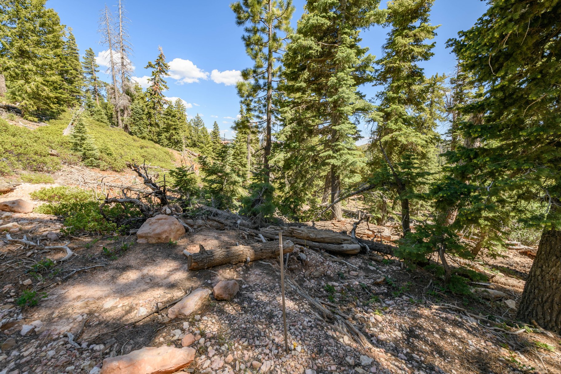 5150 W North Fork Road