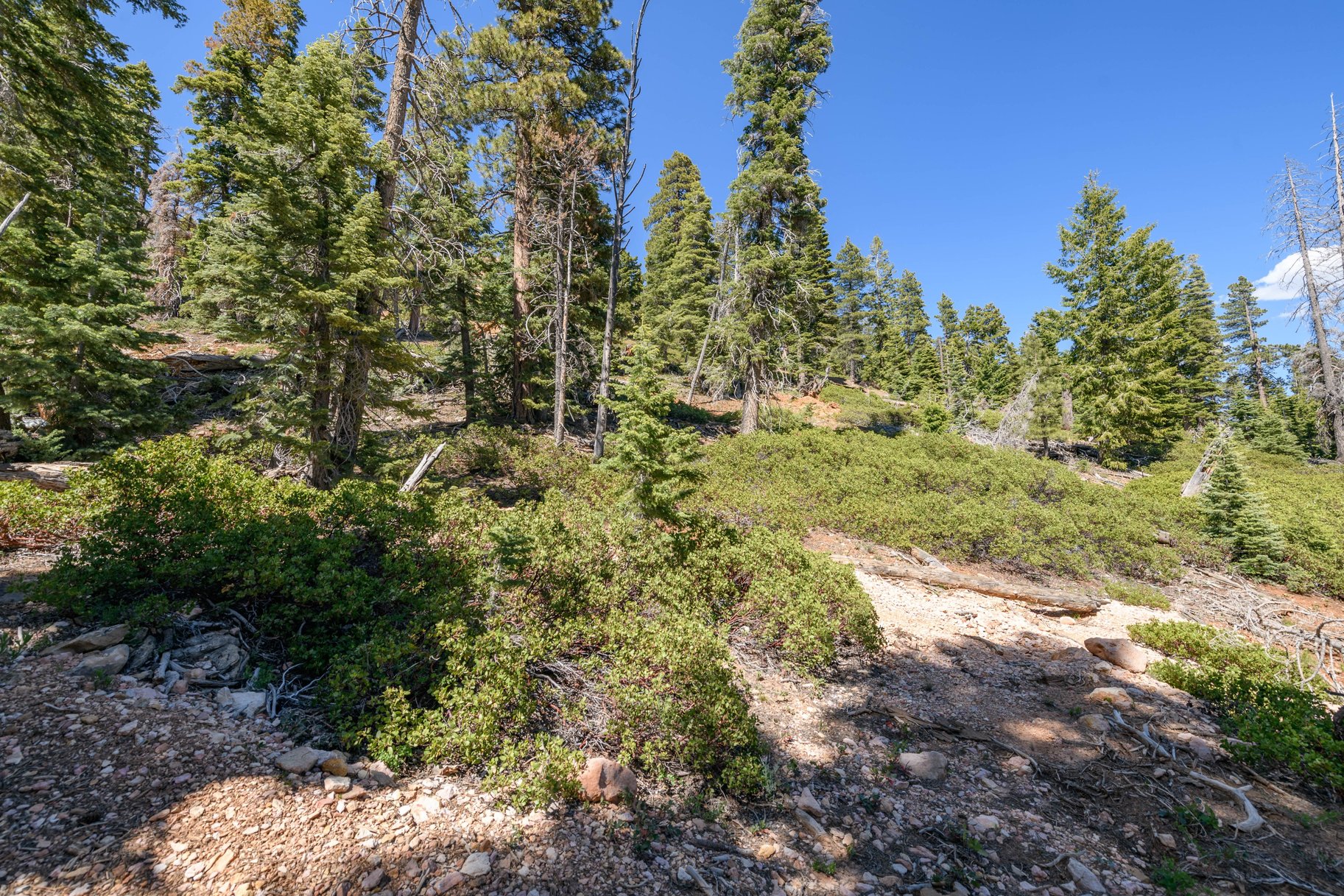 5150 W North Fork Road