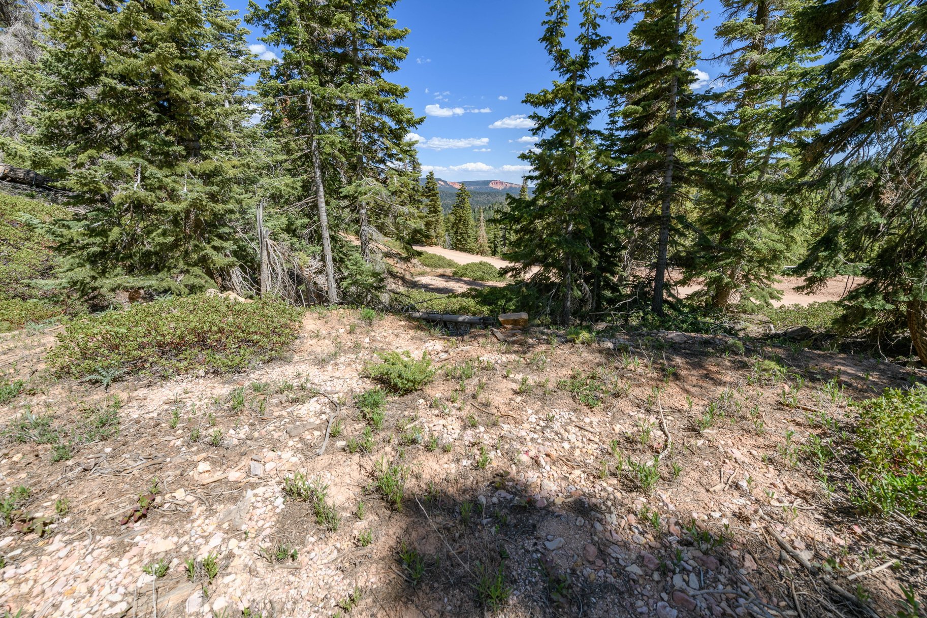 5150 W North Fork Road