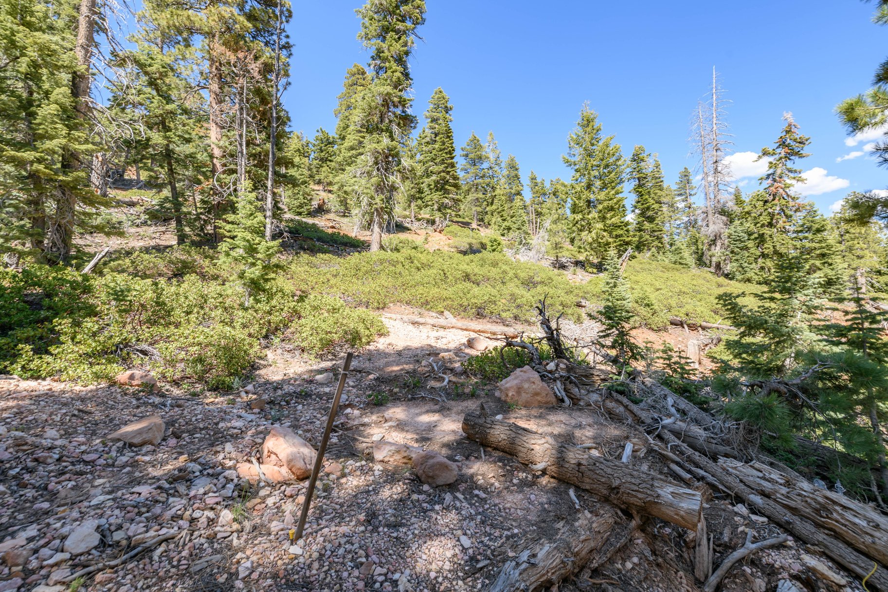 5150 W North Fork Road