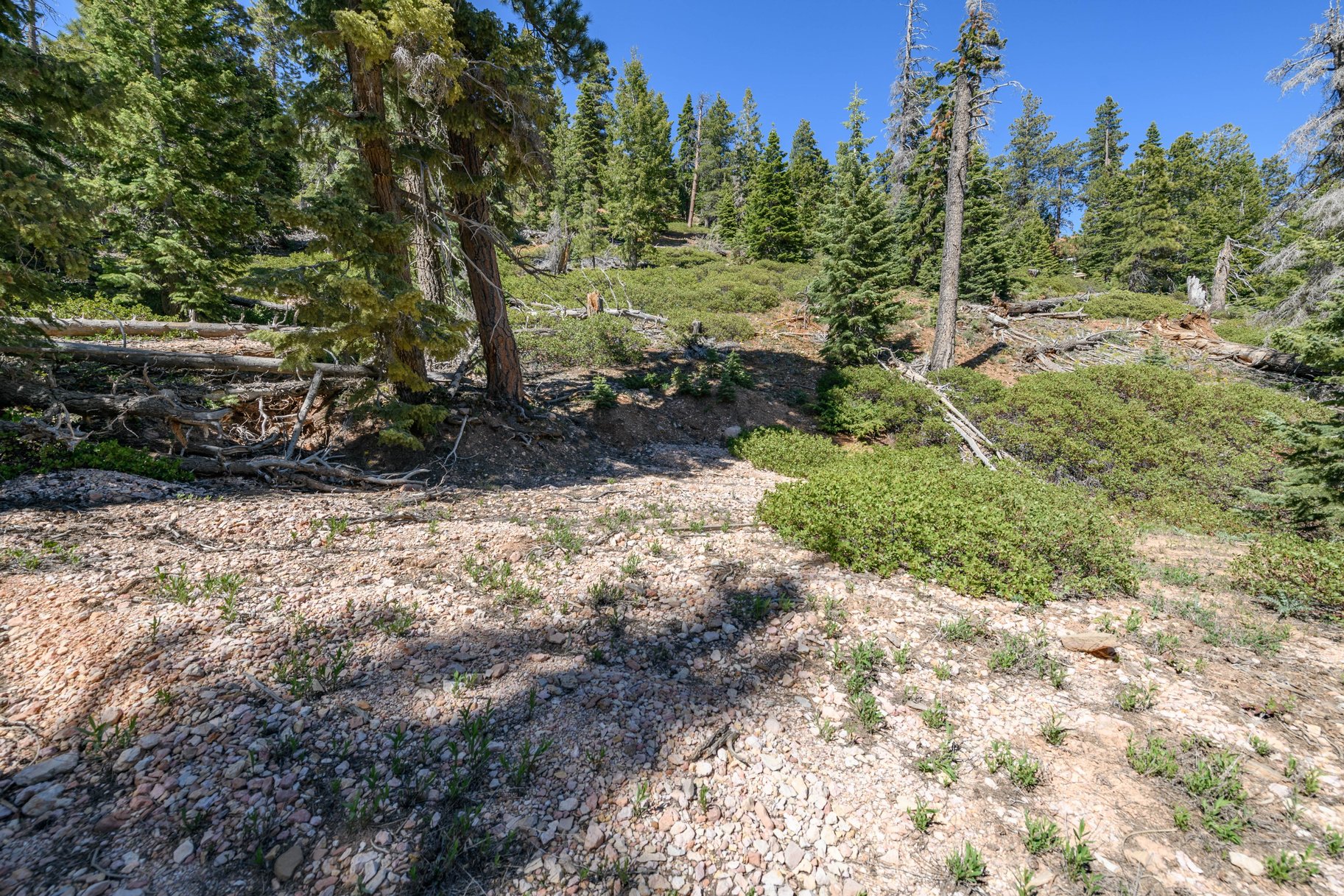 5150 W North Fork Road