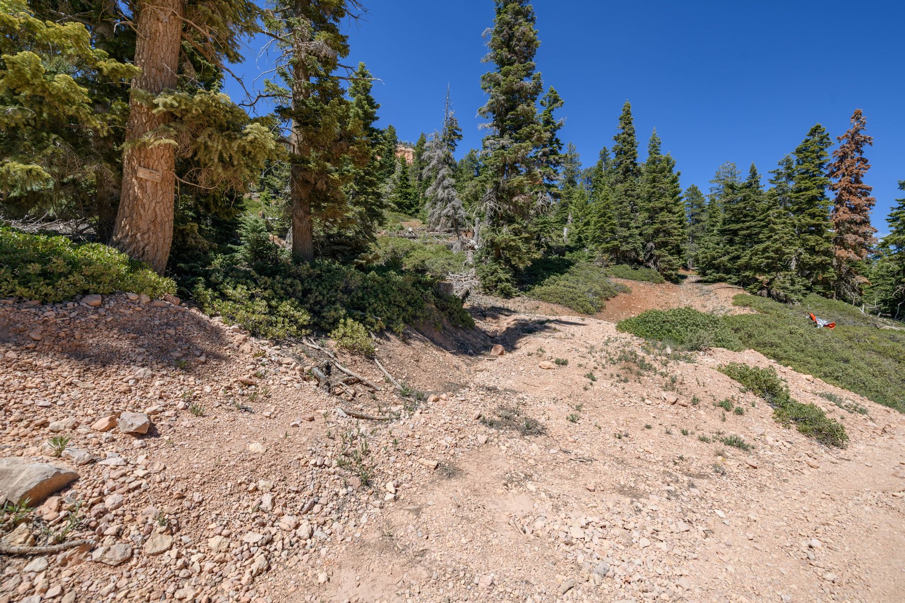 5150 W North Fork Road