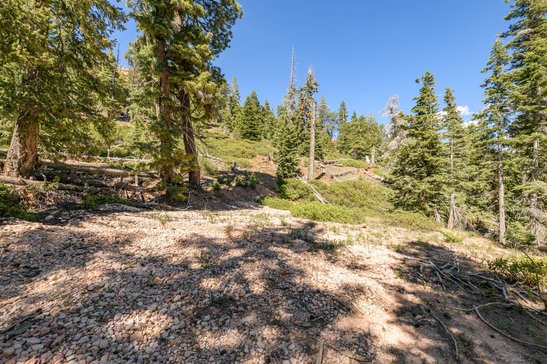 5150 W North Fork Road