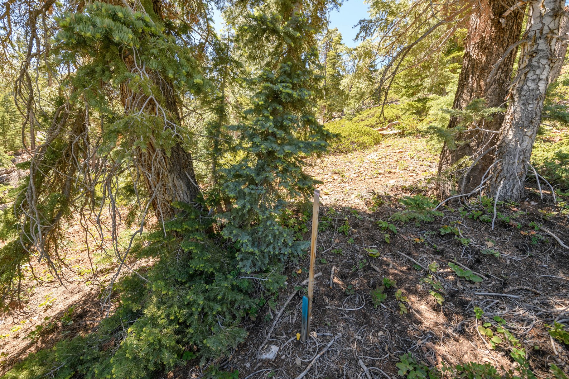 5150 W North Fork Road