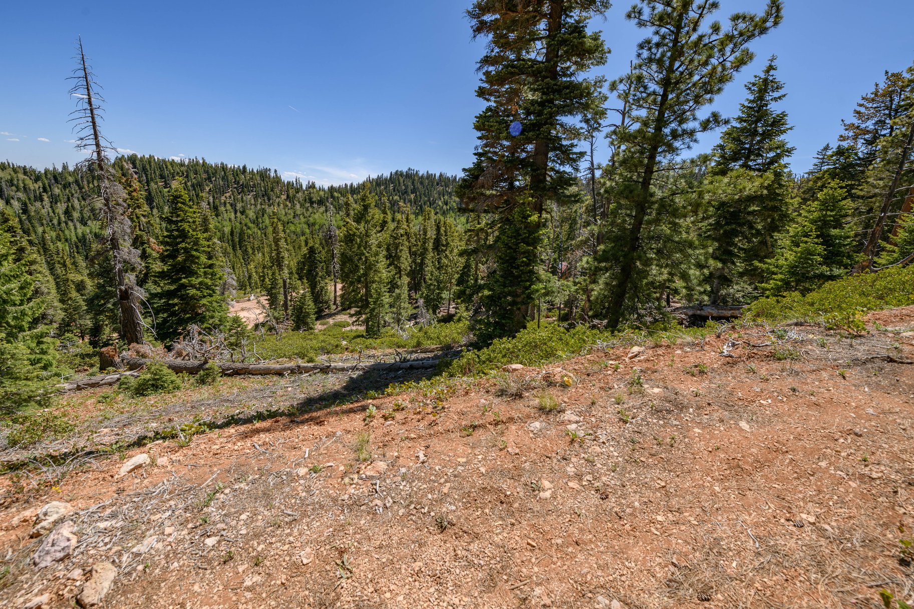 5150 W North Fork Road