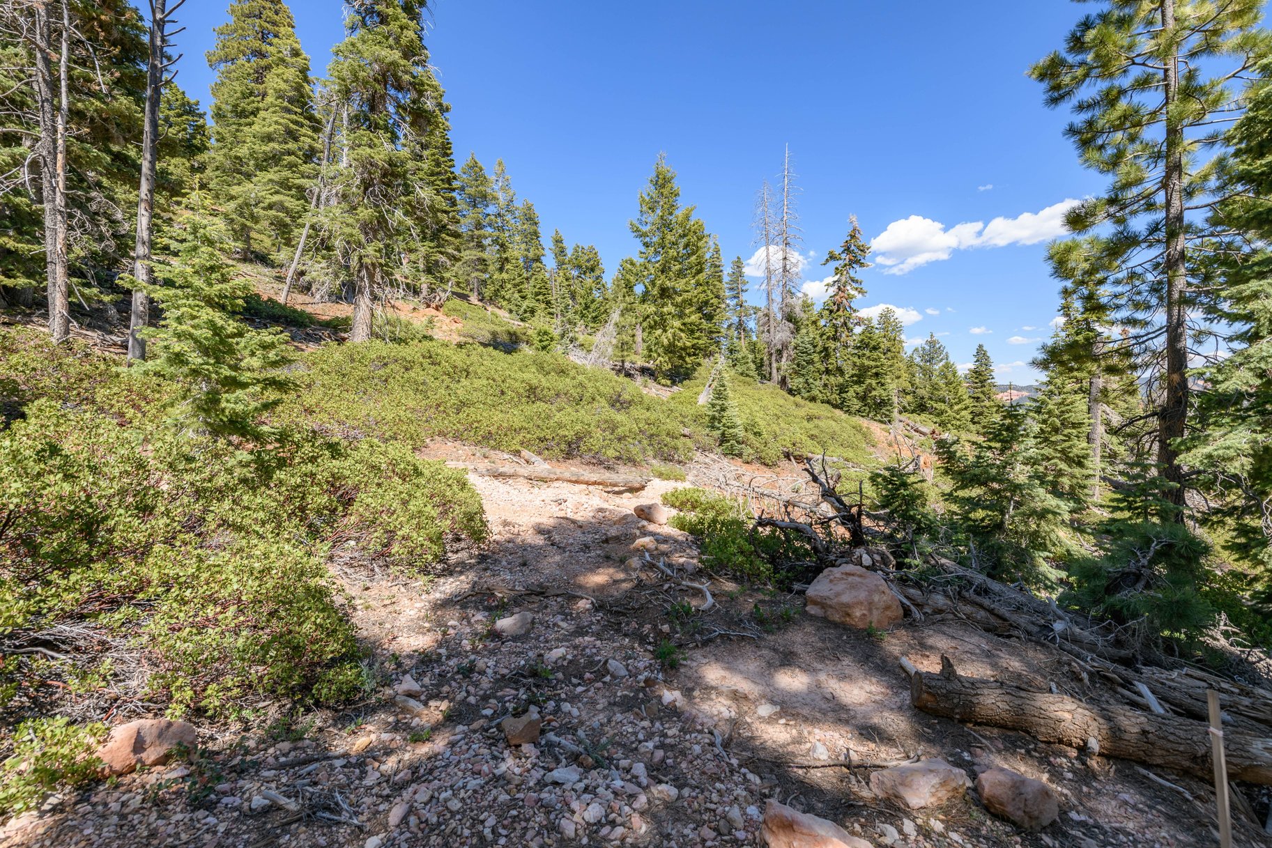 5150 W North Fork Road