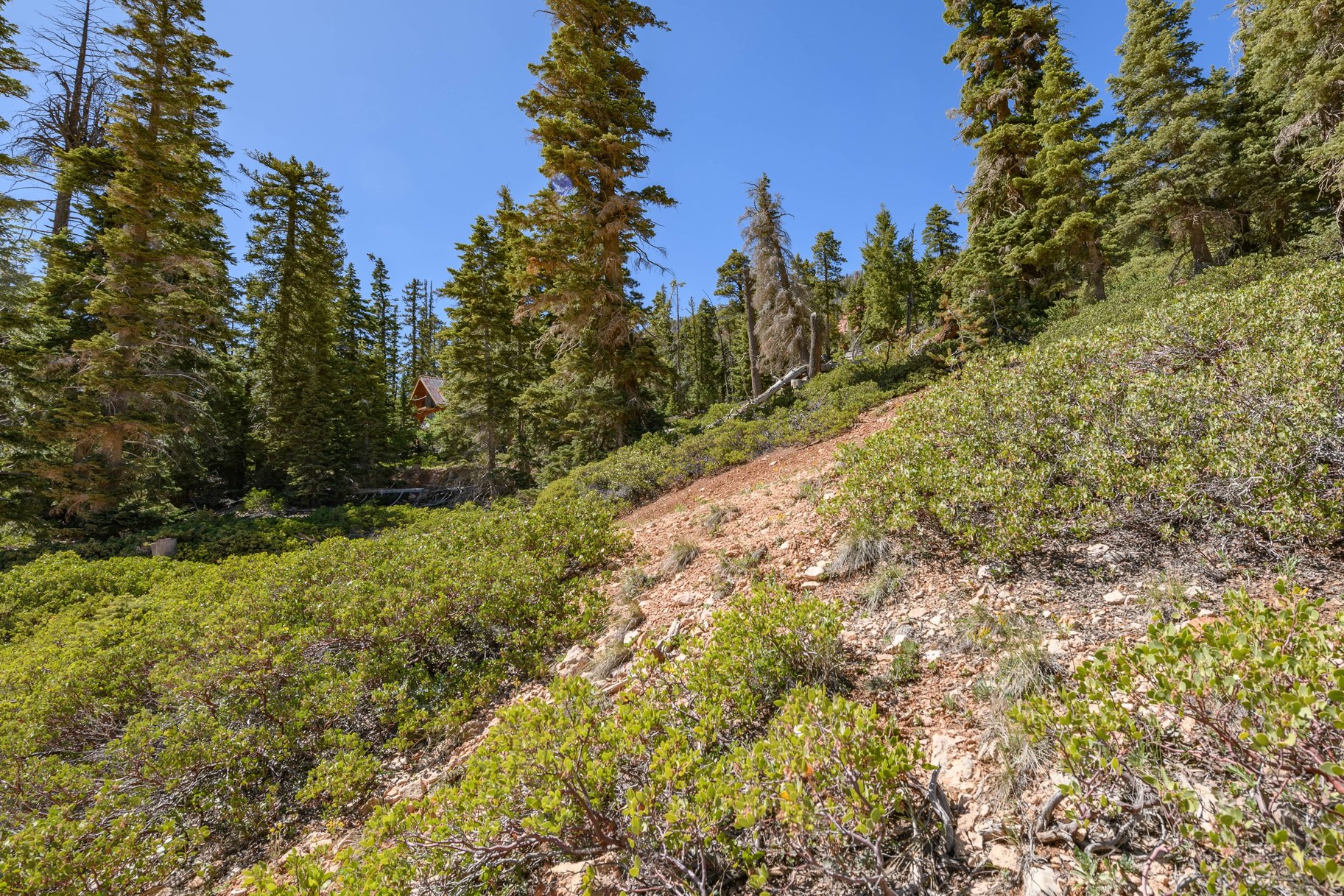 5150 W North Fork Road