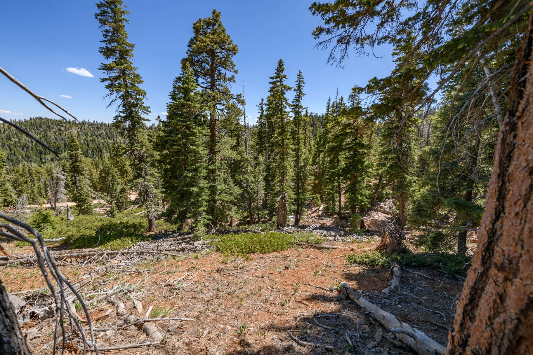 5150 W North Fork Road