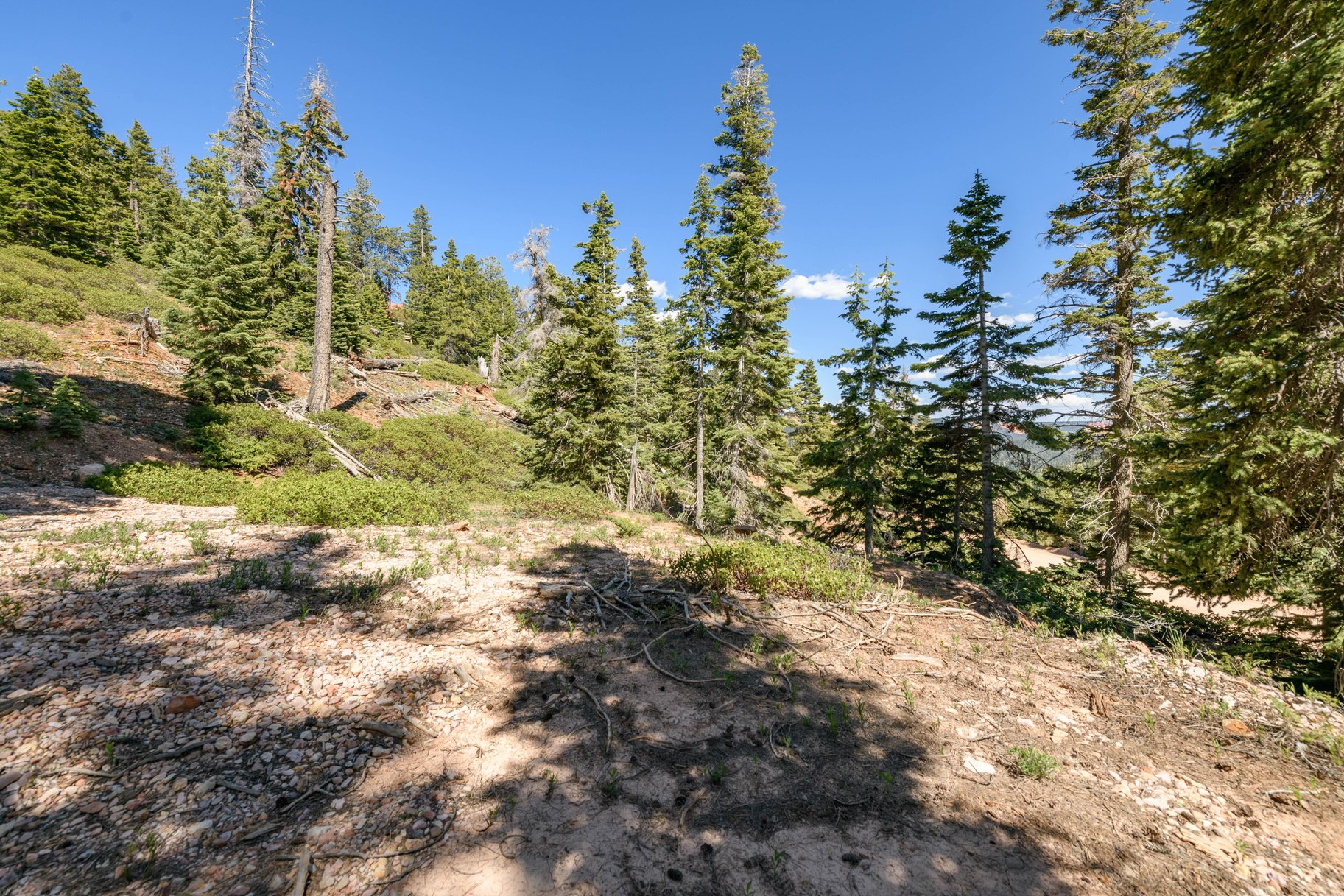 5150 W North Fork Road